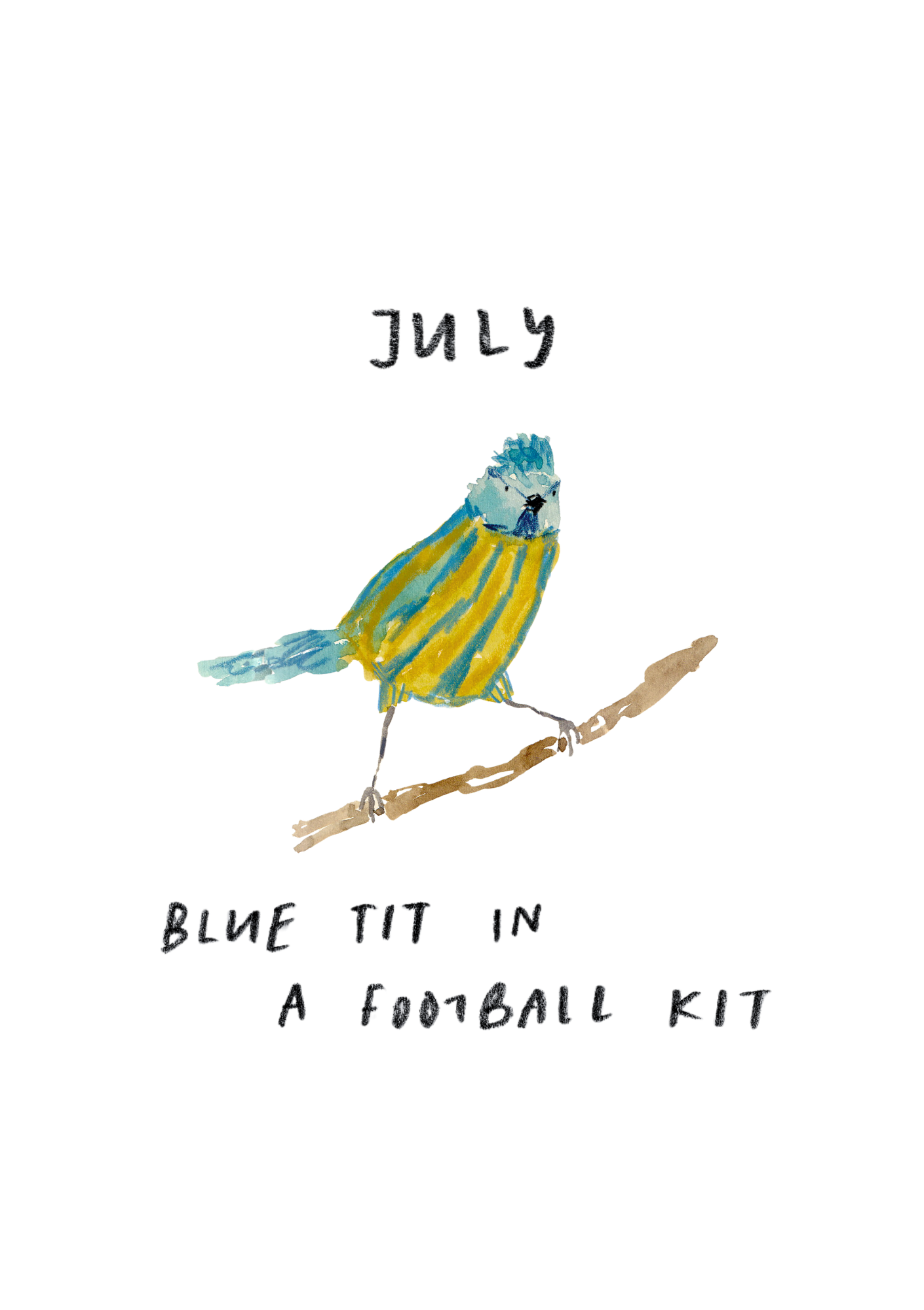 July - Blue Tit in a Football Kit