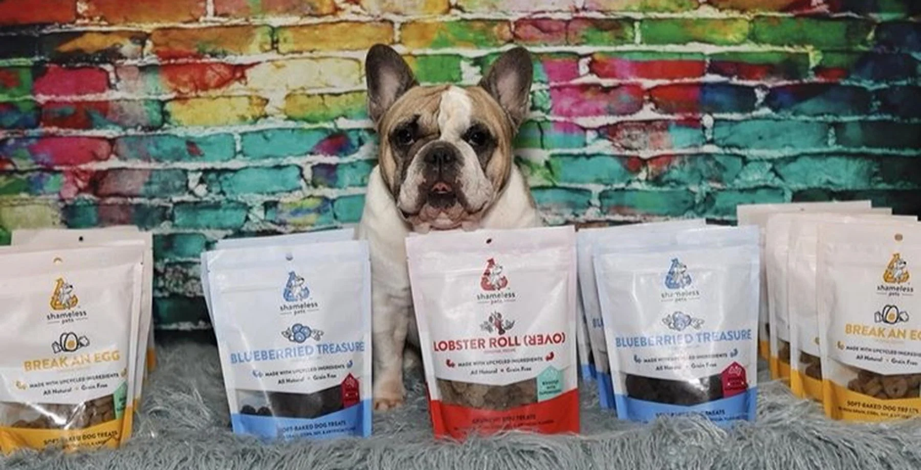 Taking a bite out of the pet food market: True invests in Shameless Pets
