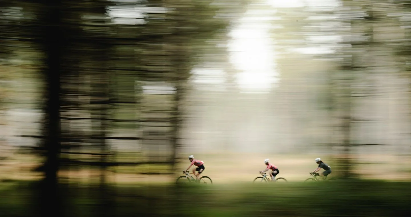Three cyclists riding bikes through a forested area with blurred trees and sunlight in the background.