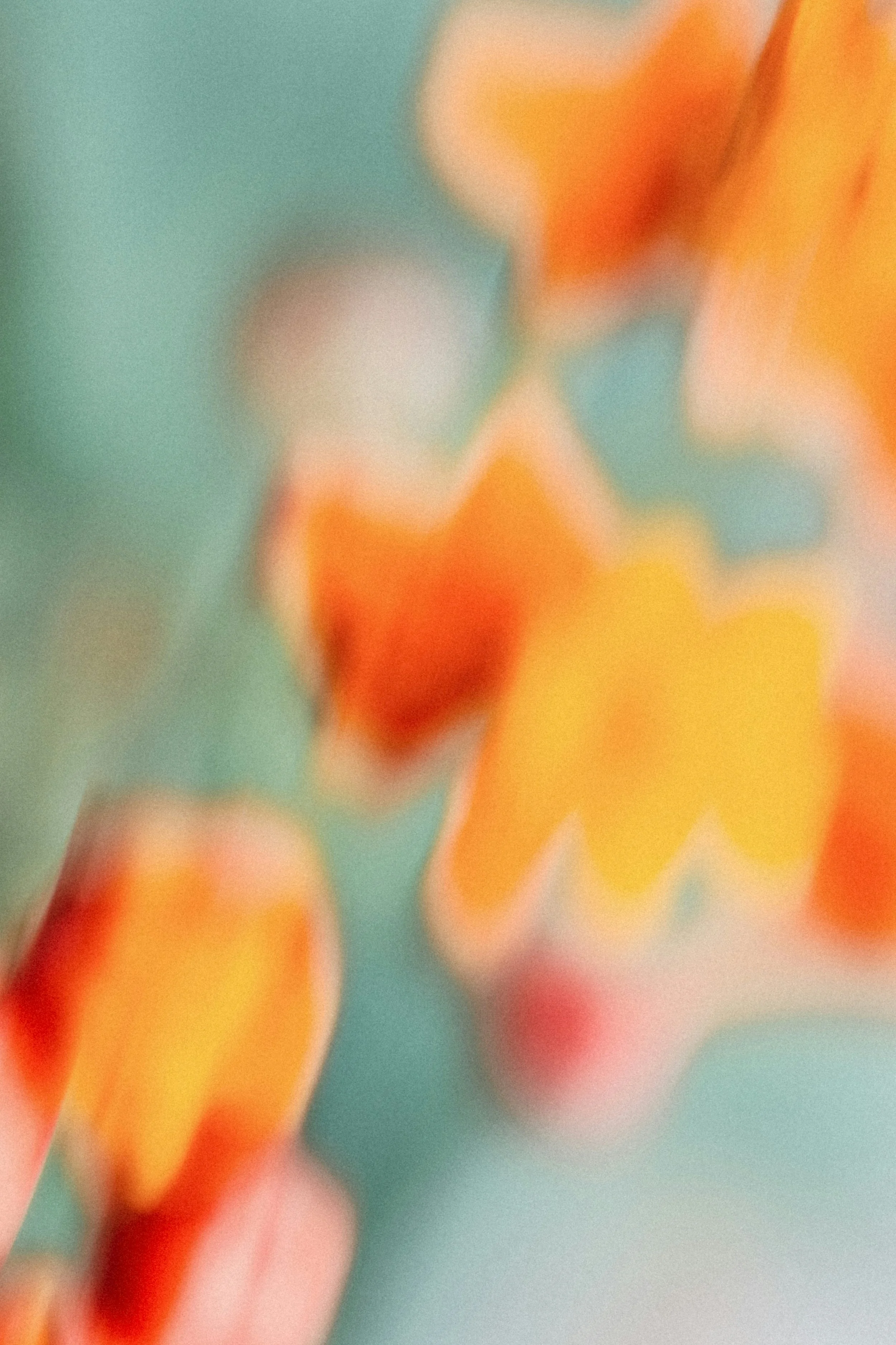 Blurred abstract colors of orange, yellow, green, and white with soft, out-of-focus shapes