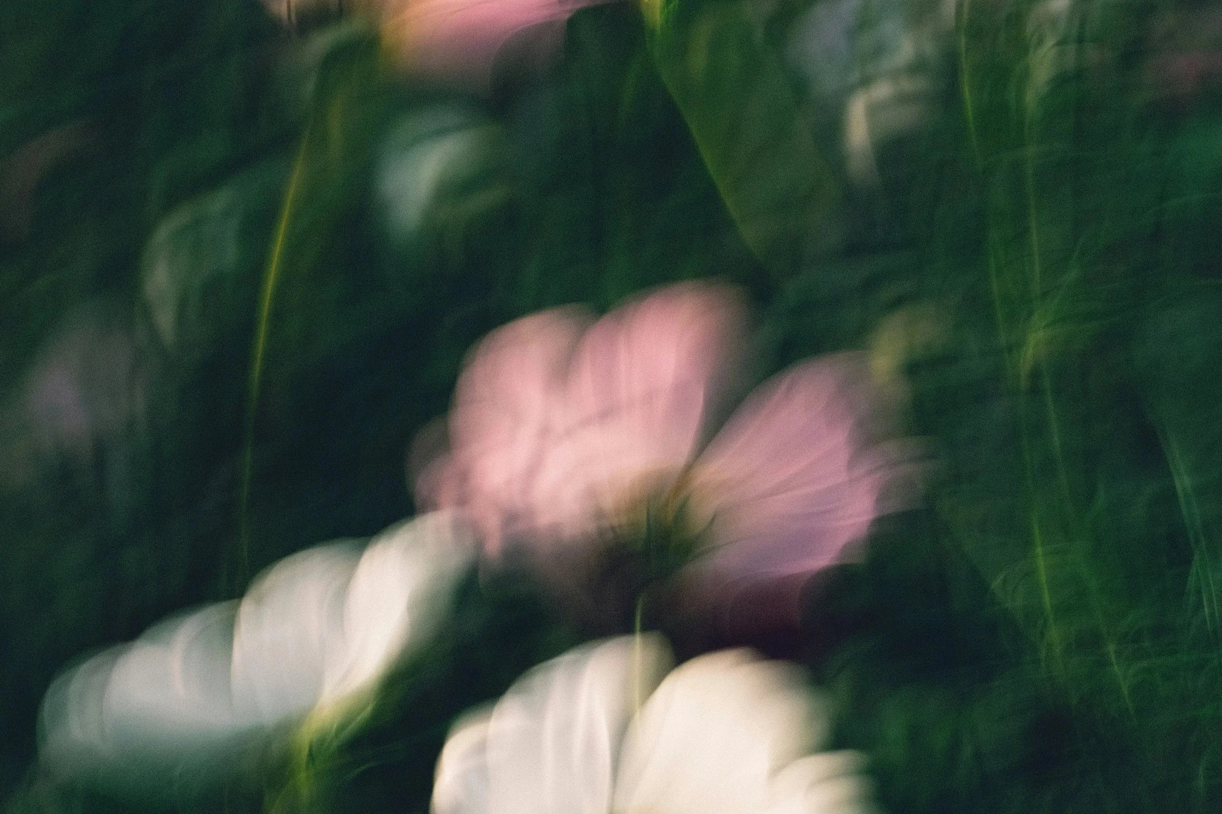 Blurred lights creating a bokeh effect with various colors including pink, white, green, and purple.