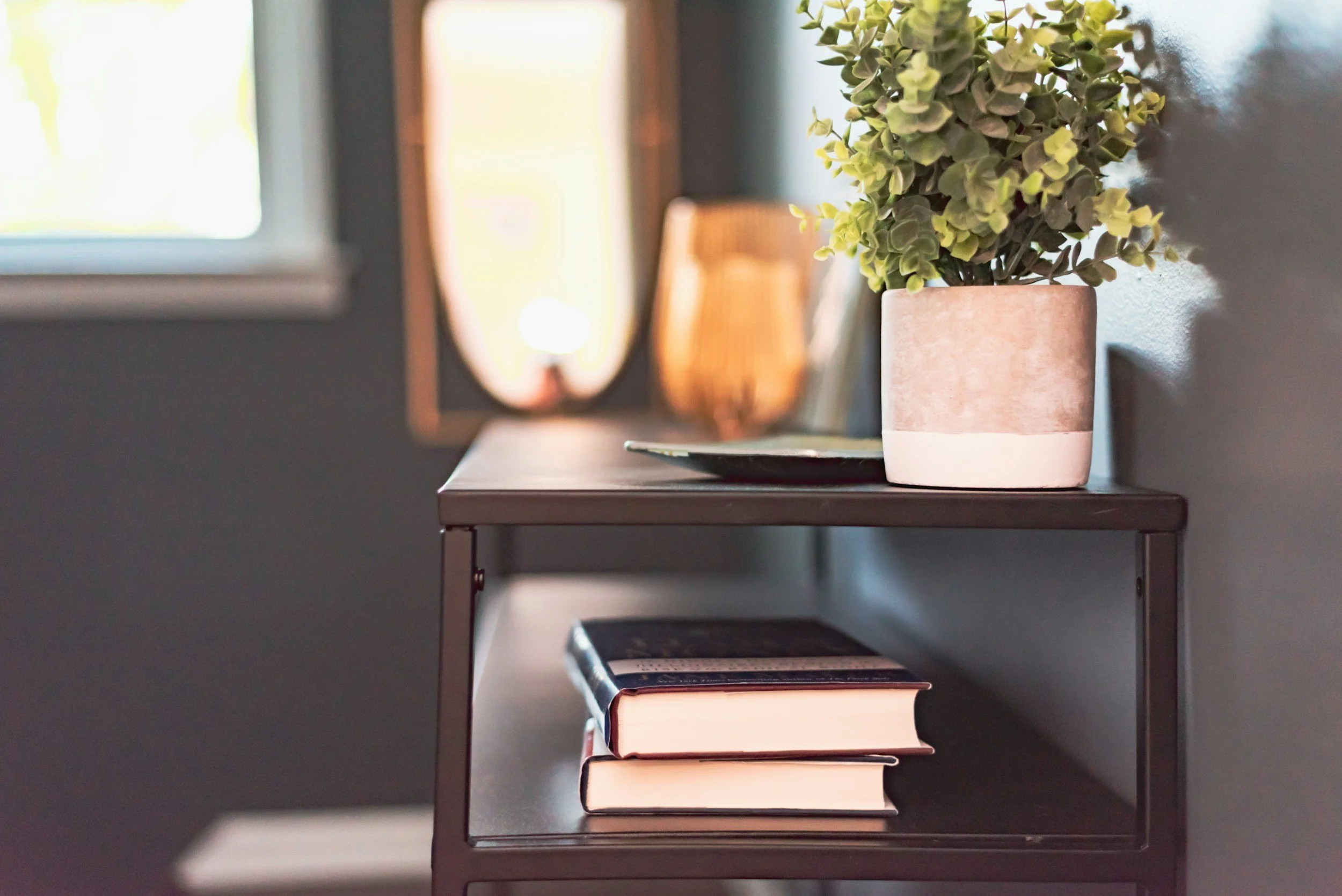 A pink and beige potted plant on a metal shelf, with stacked books underneath, against a wall with a window and blurred background.