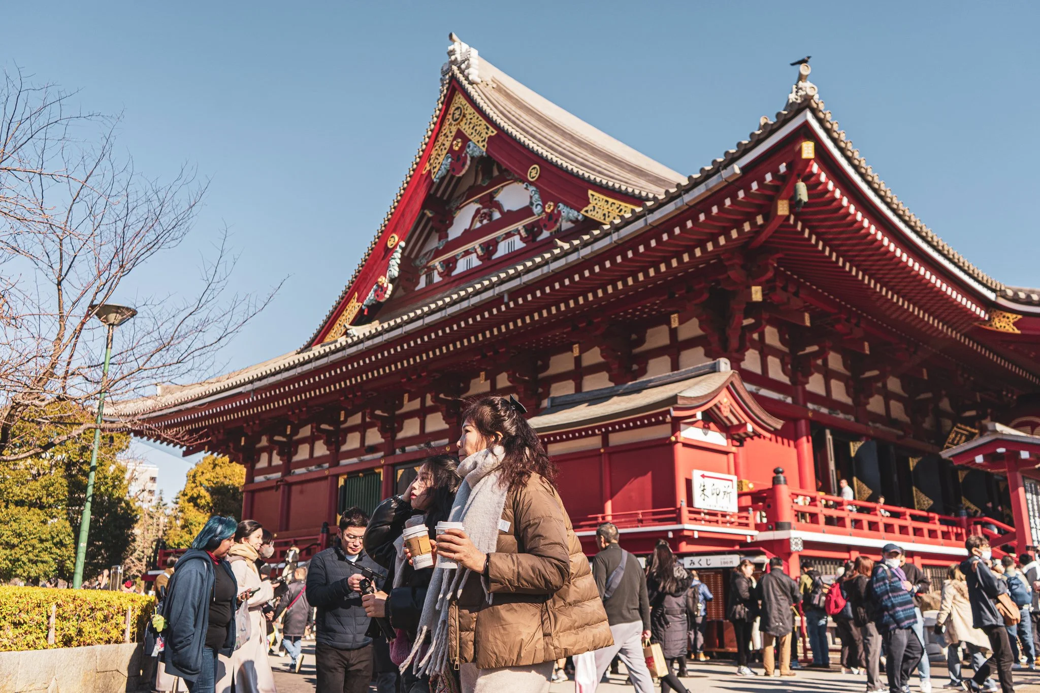 Tokyo, Japan 🇯🇵