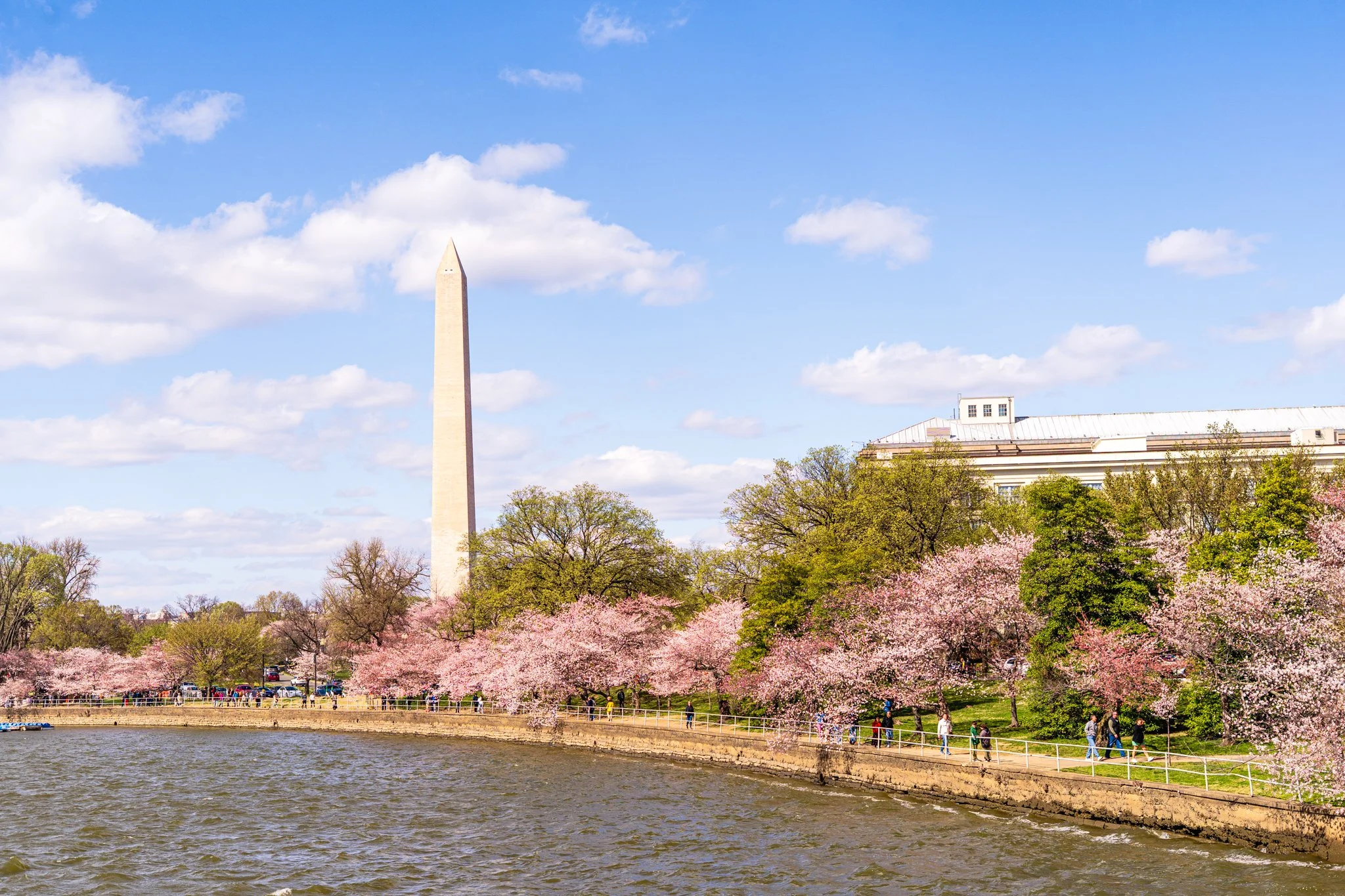 Washington, DC, USA 🇺🇸