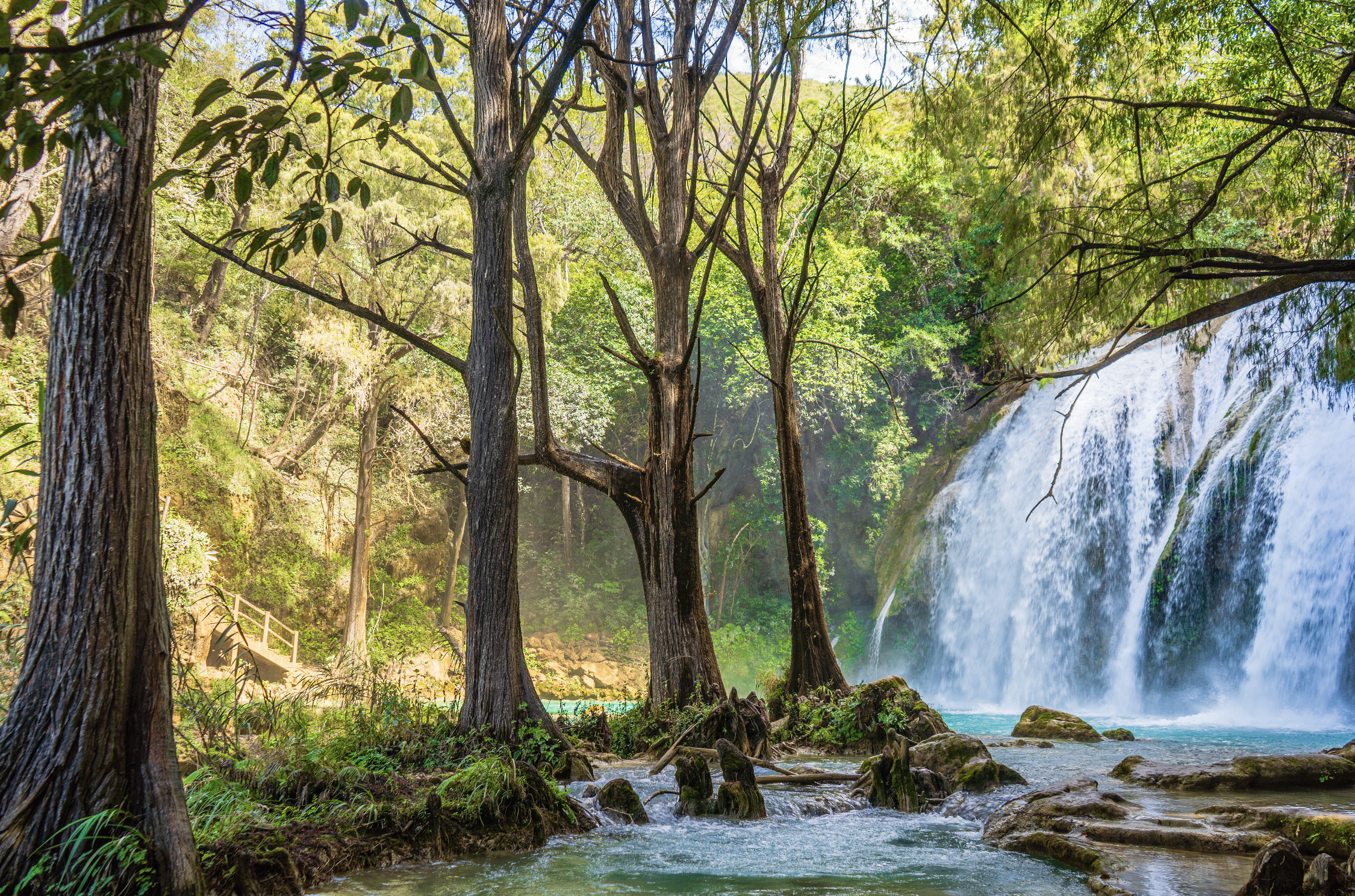 Chiapas, México 🇲🇽