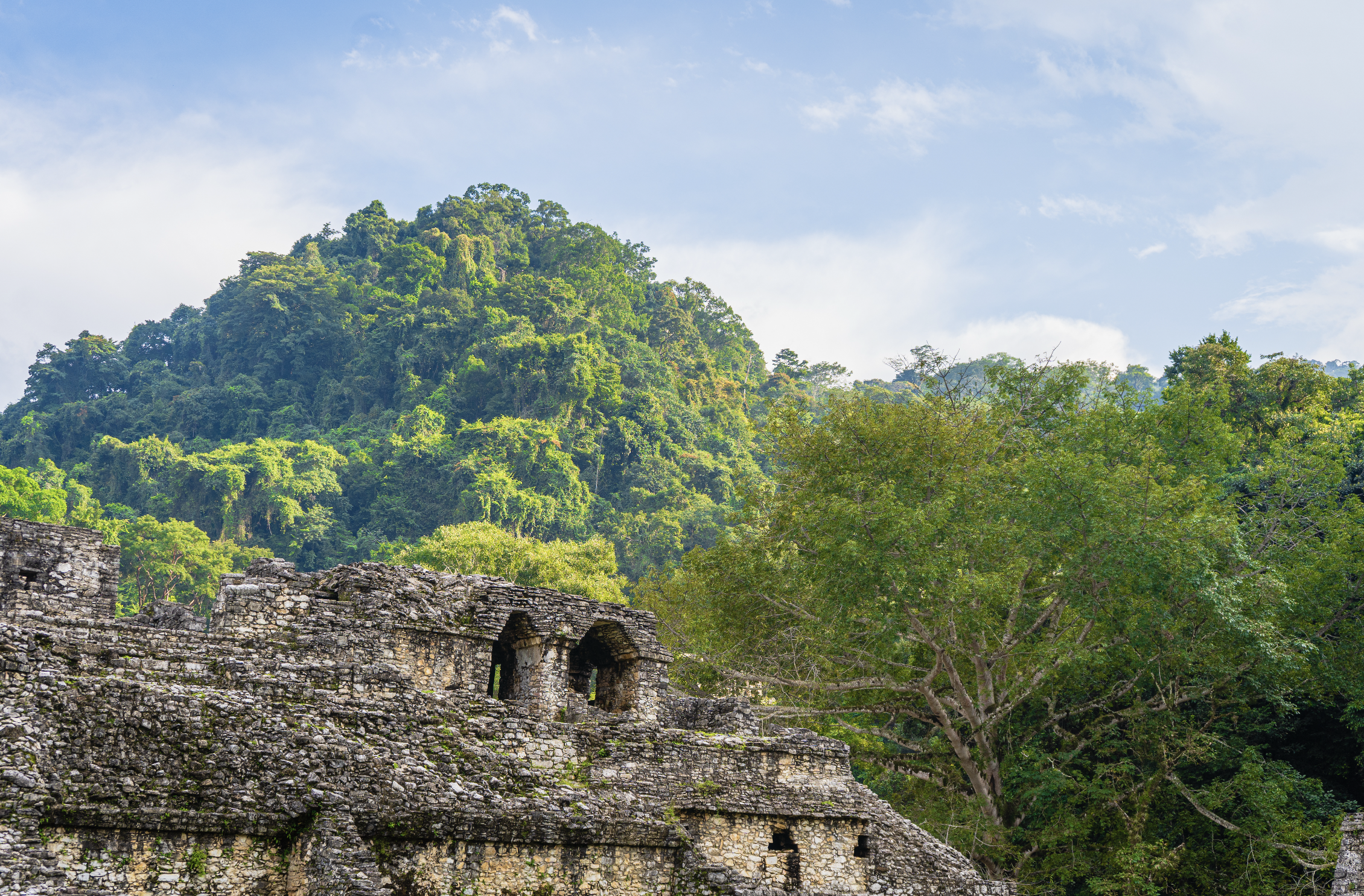 Chiapas, México 🇲🇽