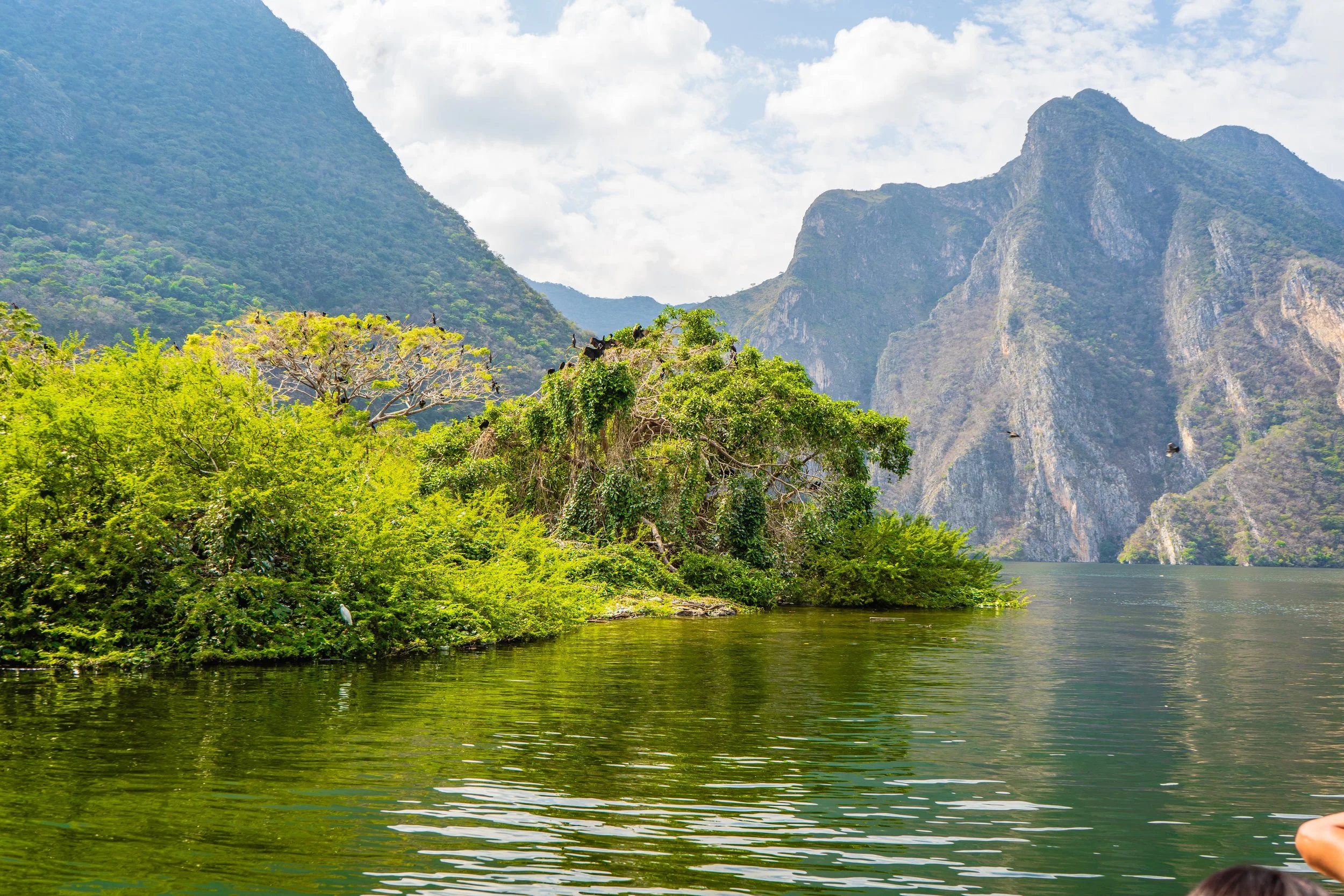 Chiapas, México 🇲🇽