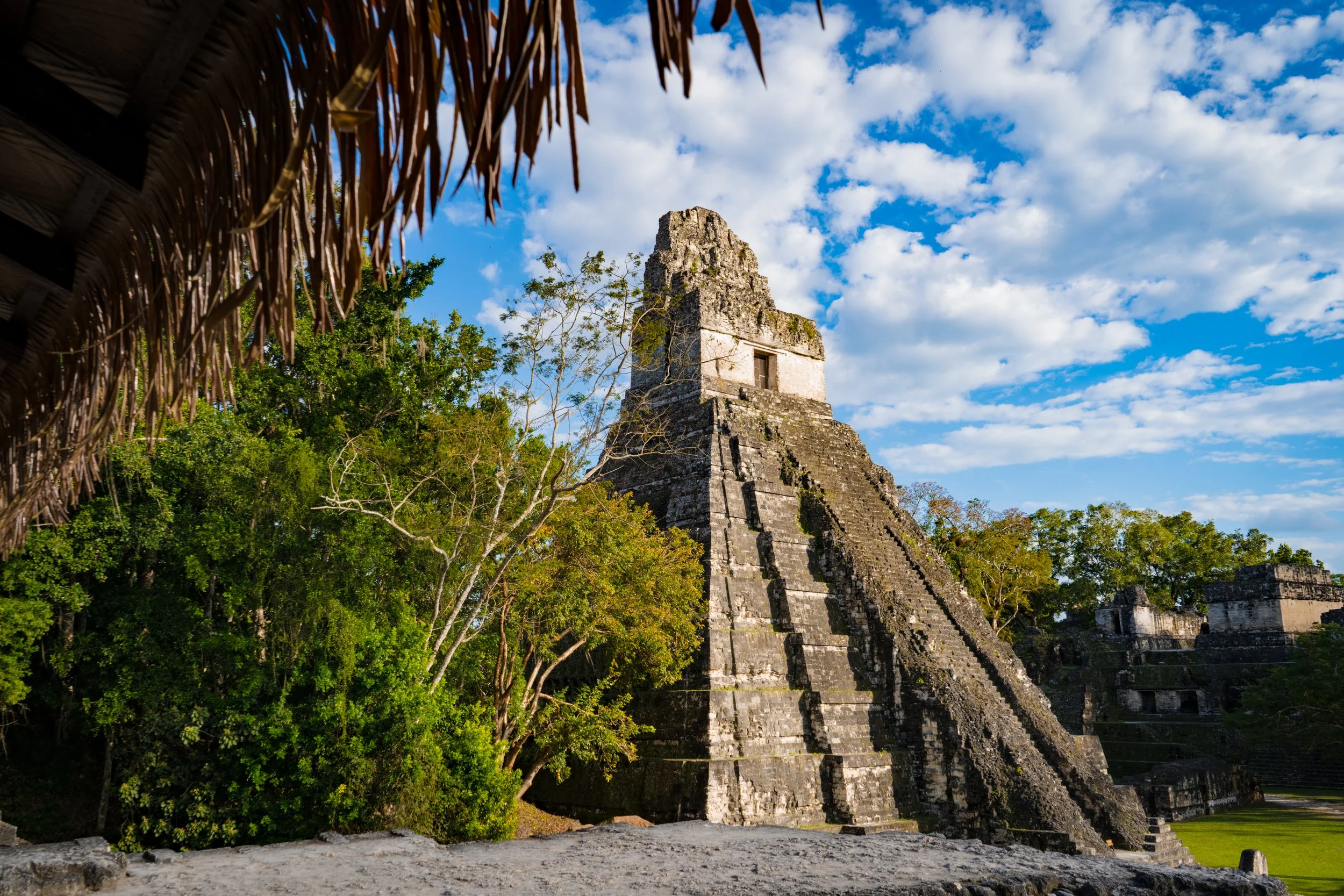 Tikal, Guatemala 🇬🇹