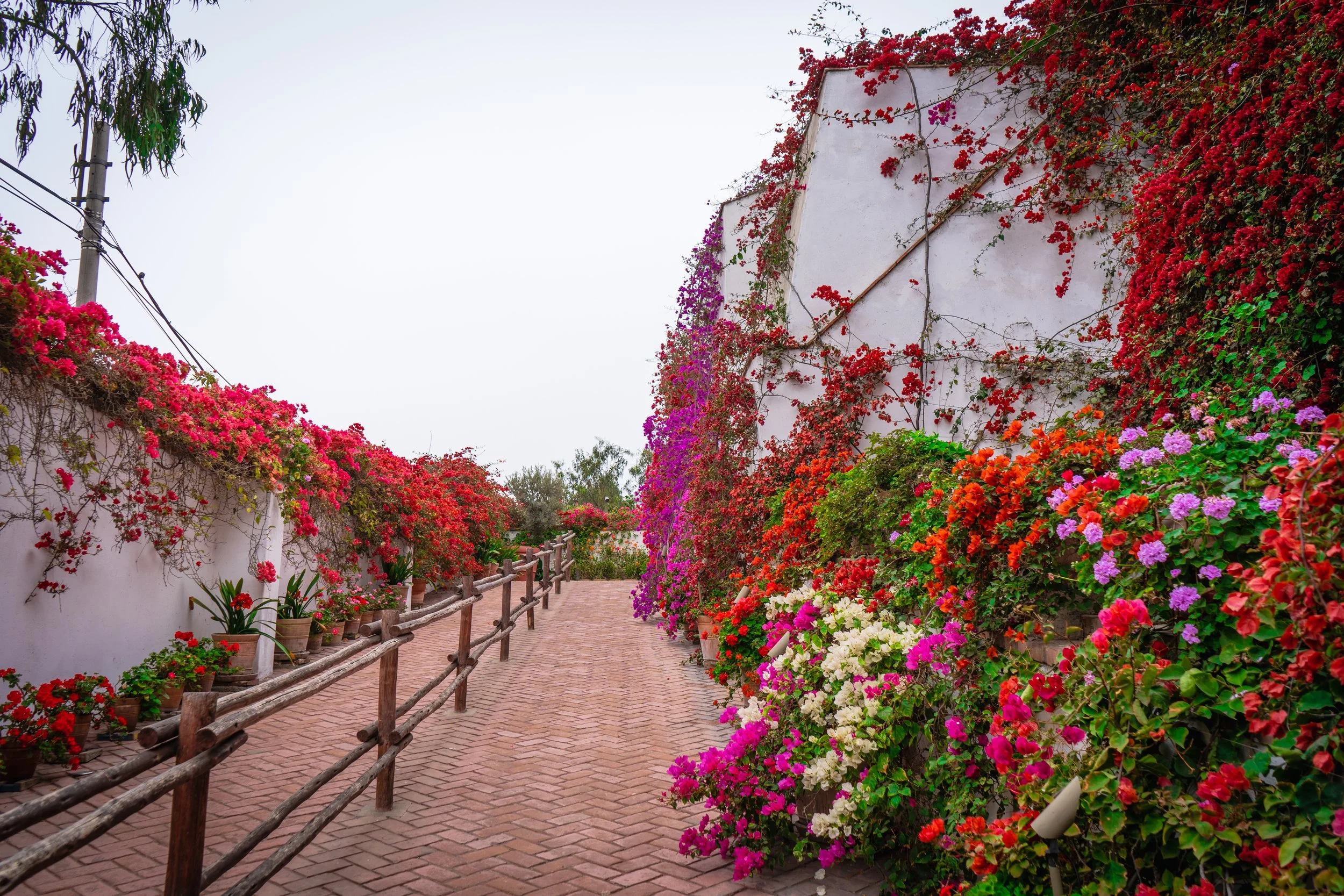 Lima, Perú 🇵🇪