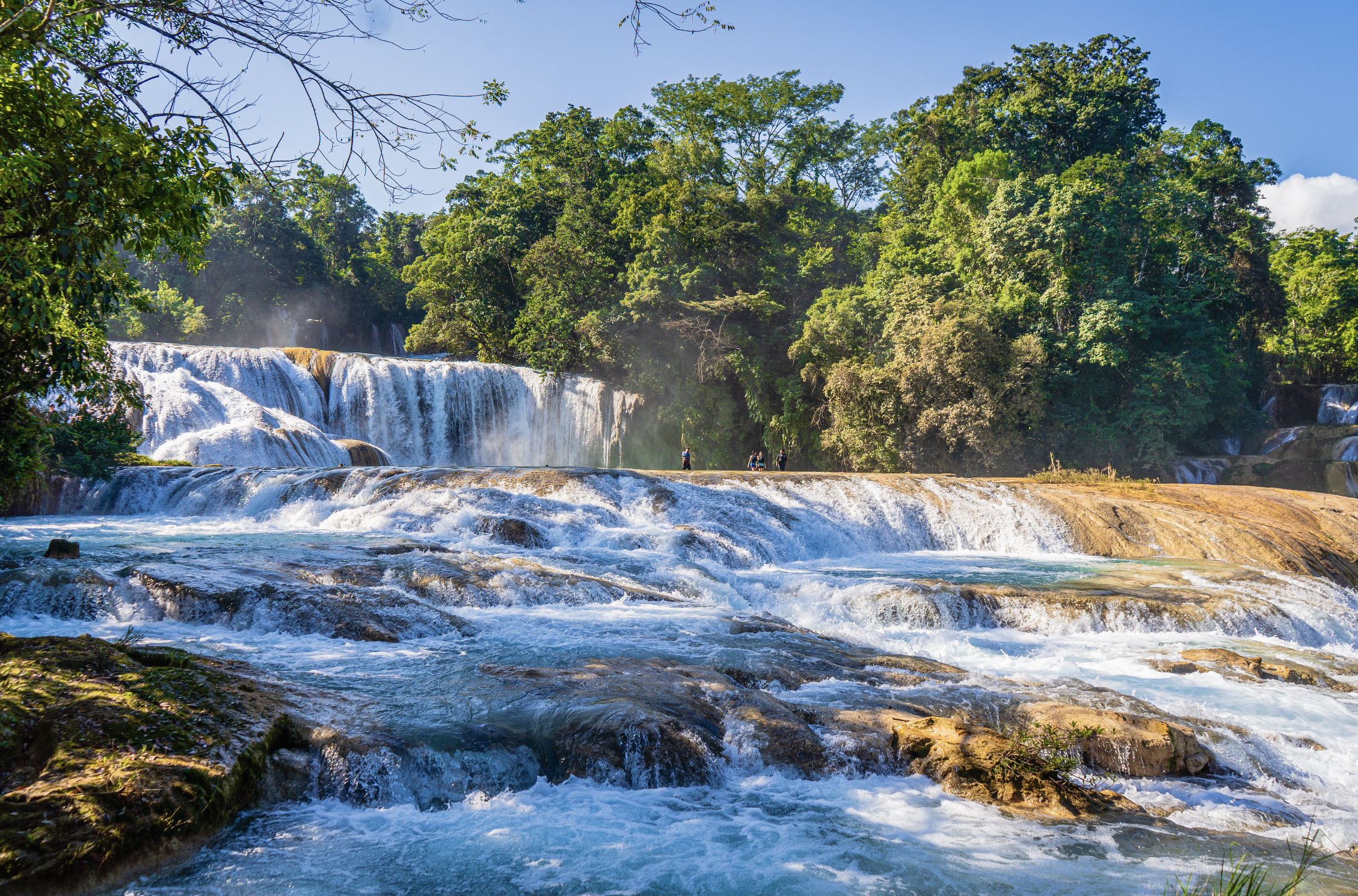 Chiapas, México 🇲🇽