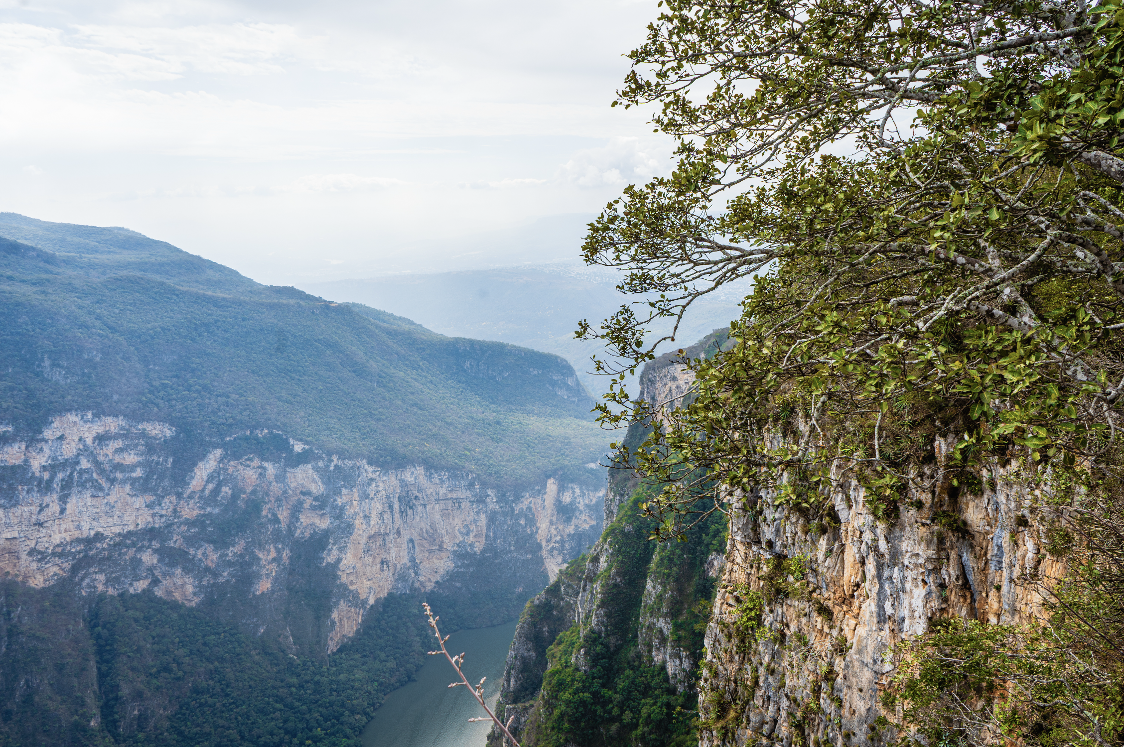 Screenshot 2026-03-02 at 3.56.10 PM.png