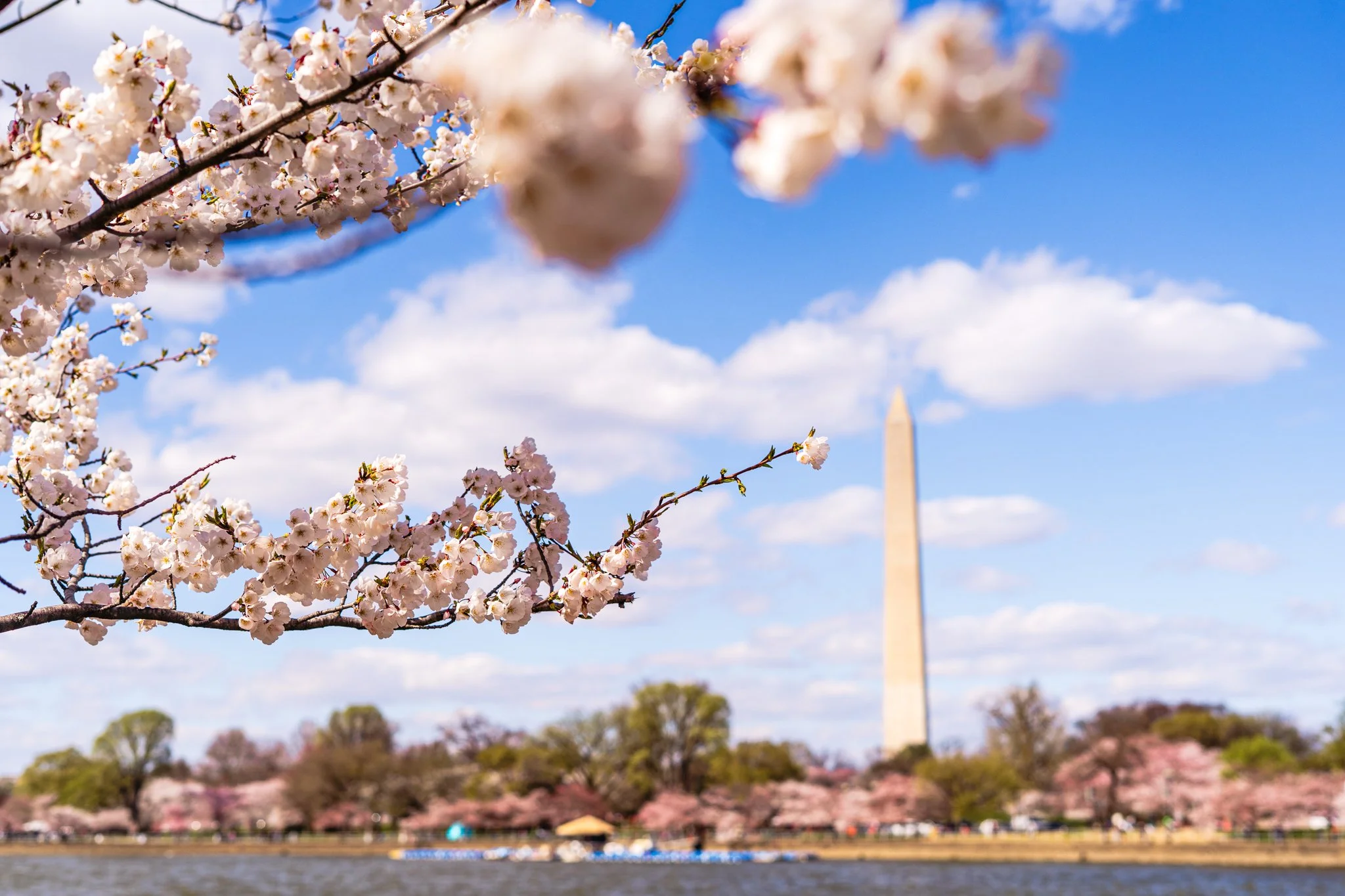 Washington, DC, USA 🇺🇸