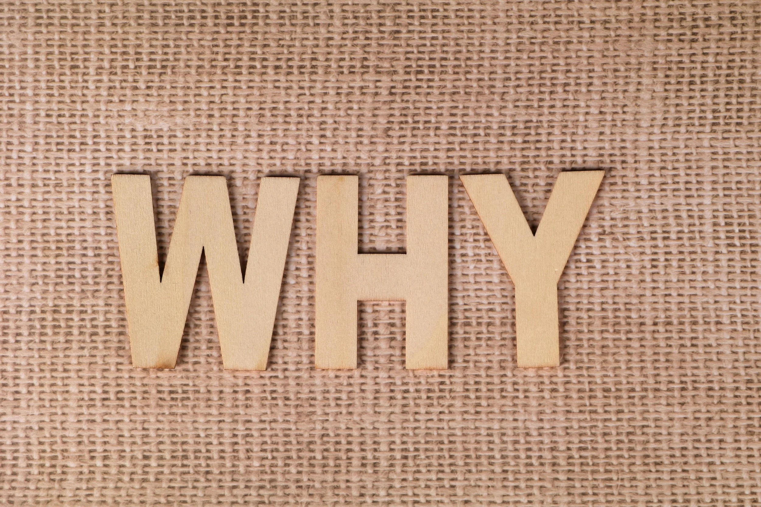 A Discussion on the Importance of Purpose