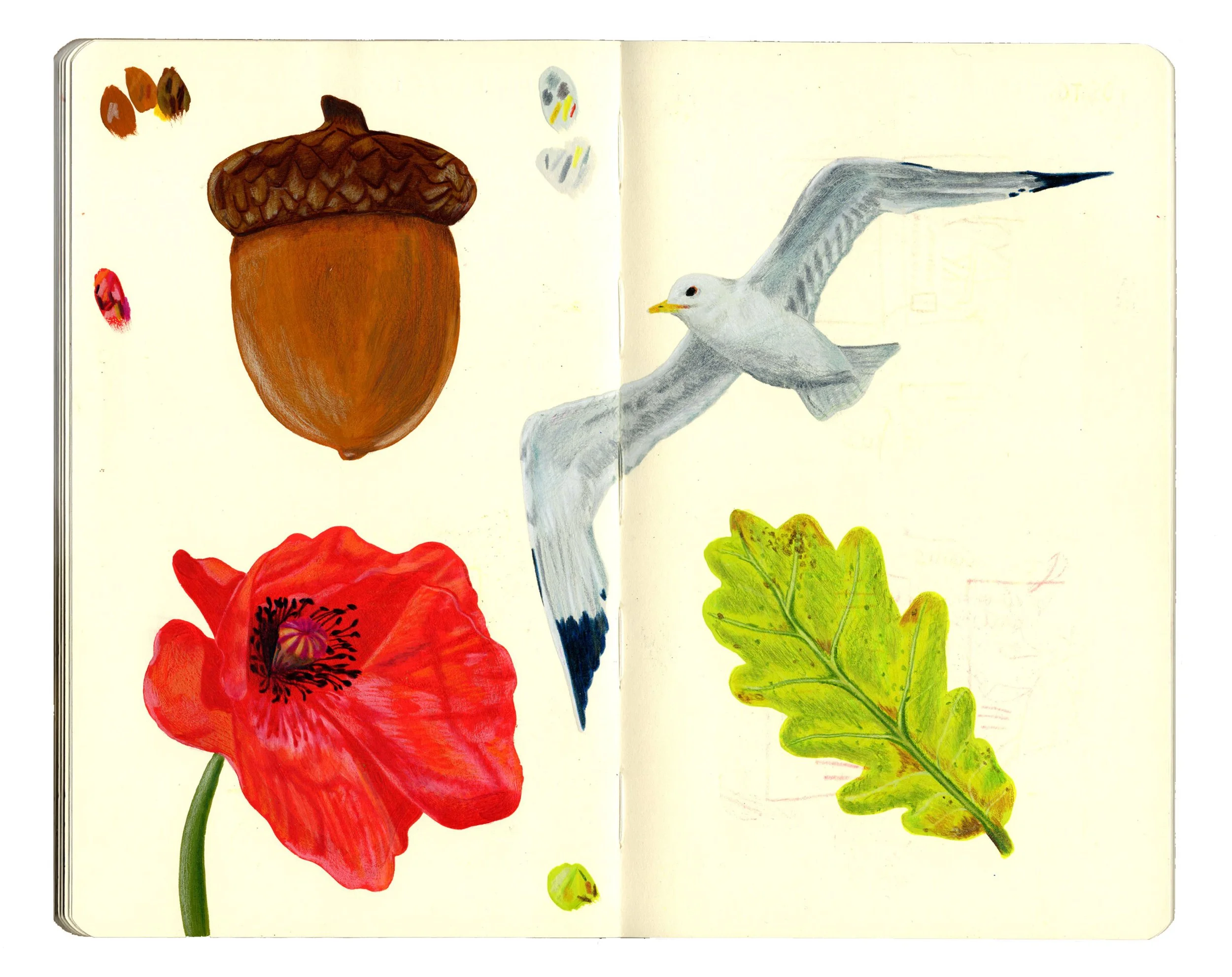 sketchbook pages for website copy12.jpg