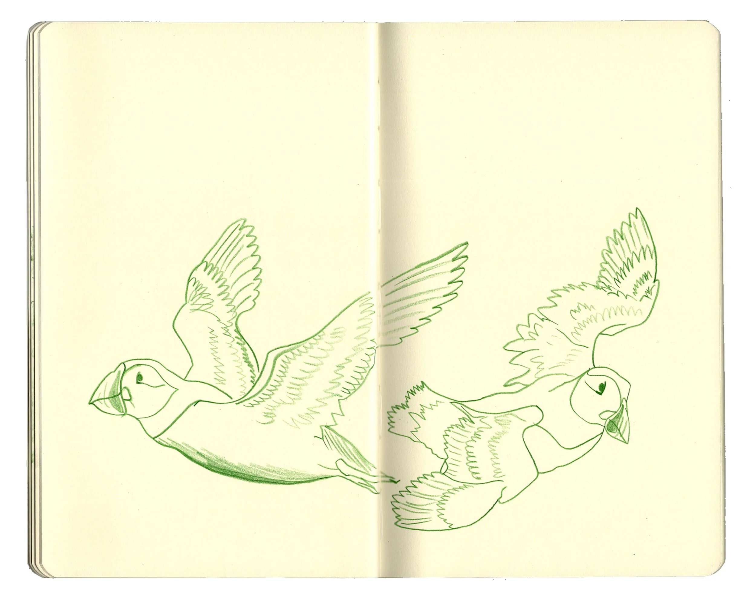 sketchbook pages for website copy6.jpg