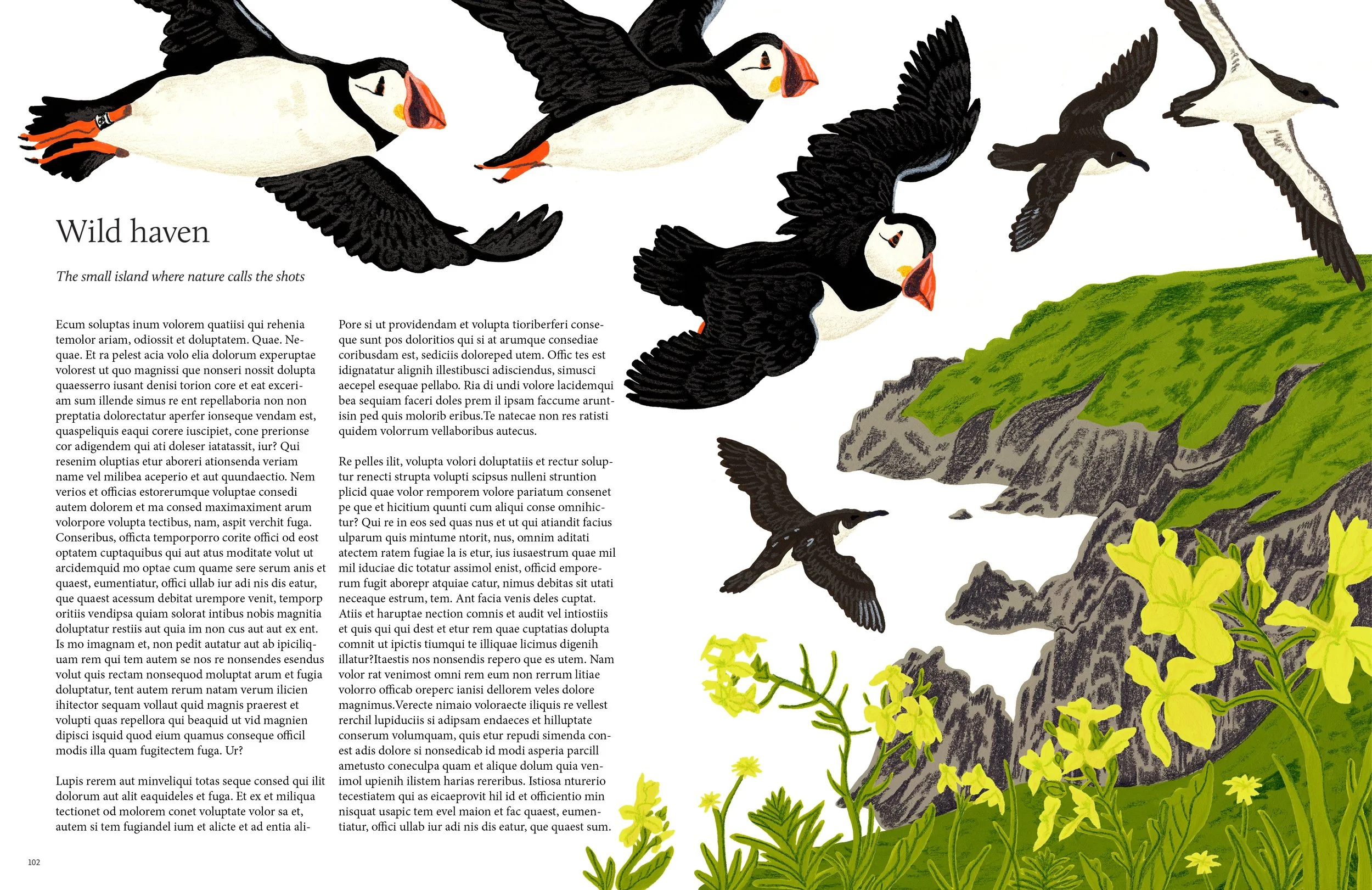 Lundy Island Editorial