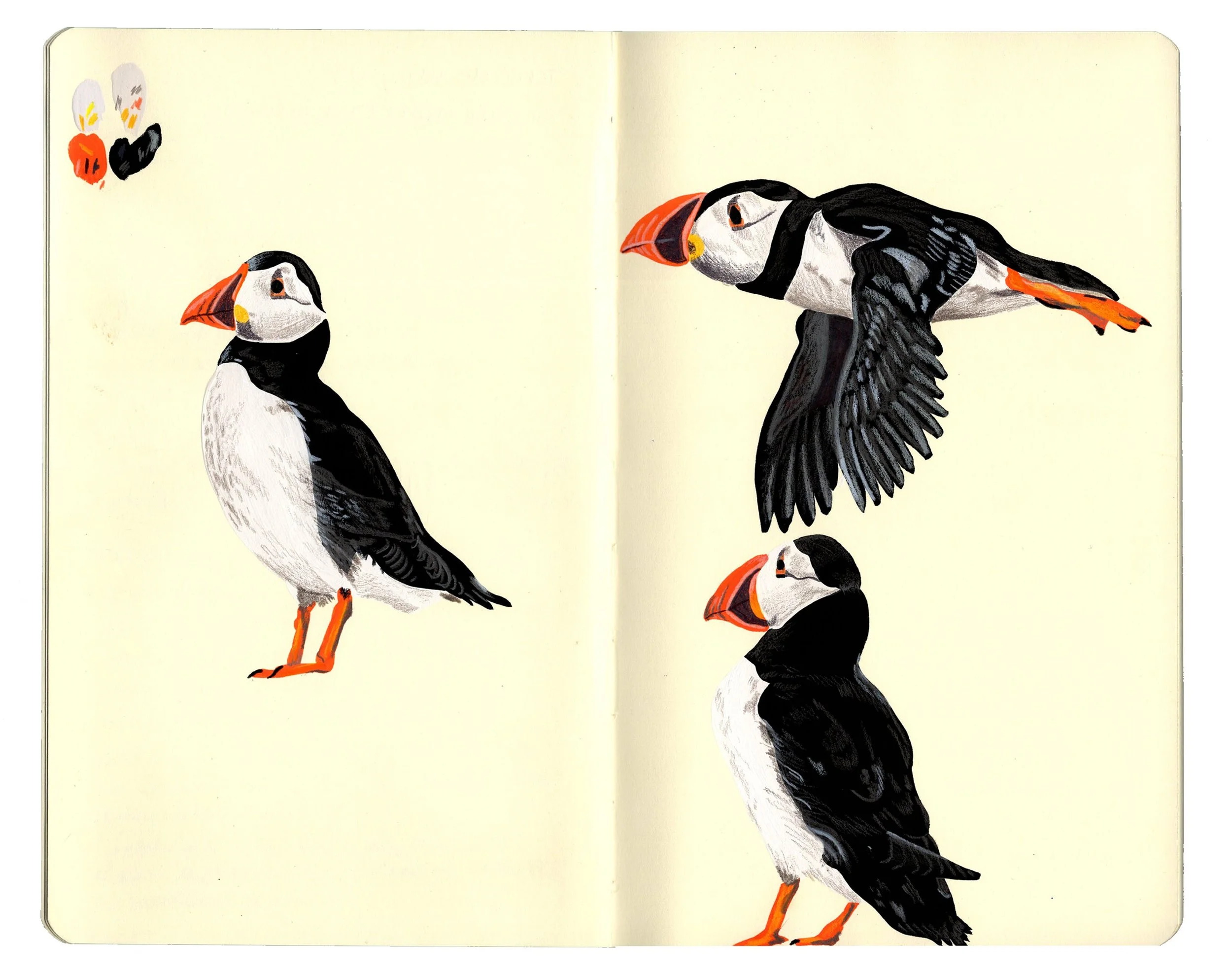 sketchbook pages for website copy11.jpg