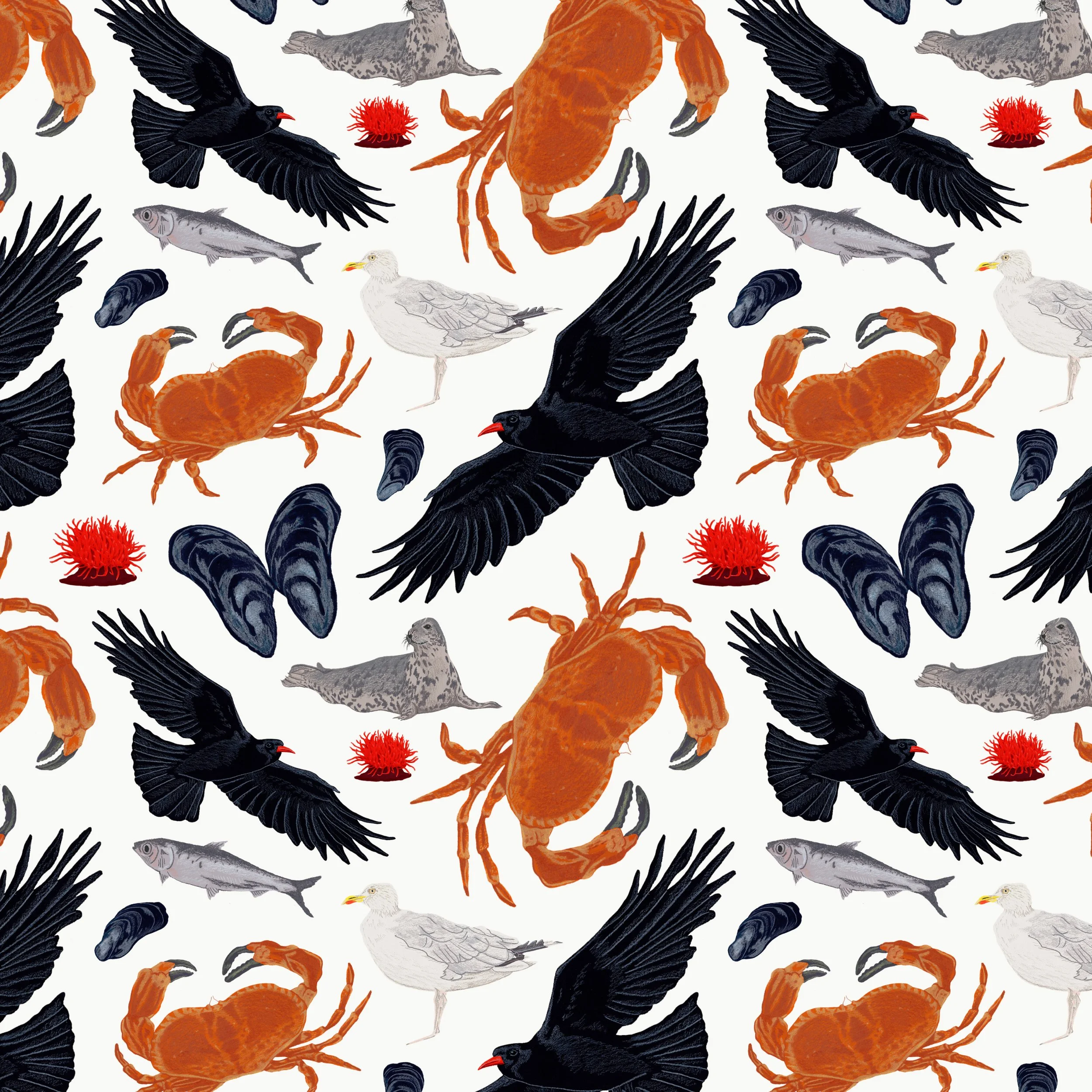 Cornish Coastal Pattern