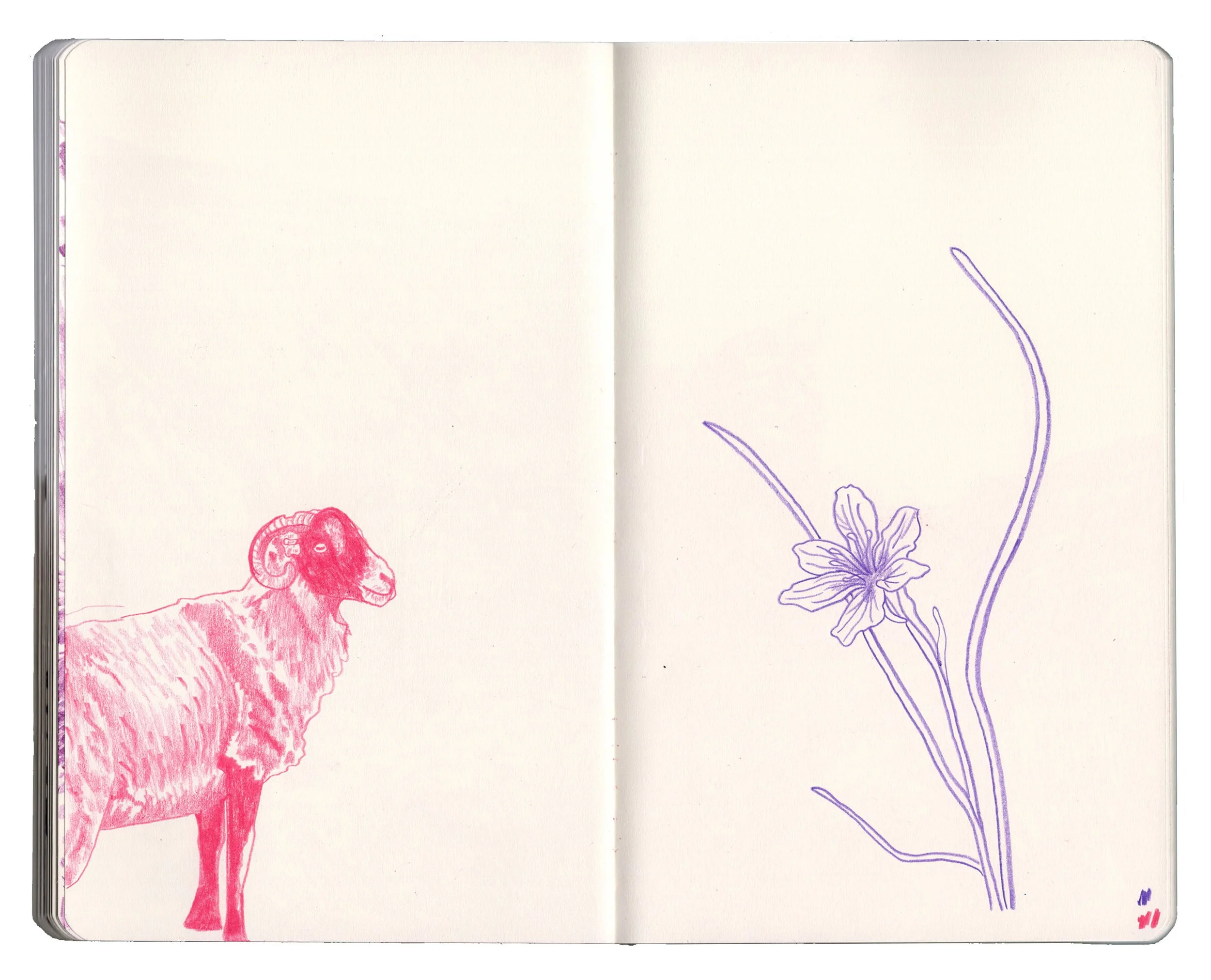 sketchbook for website copy6.jpg