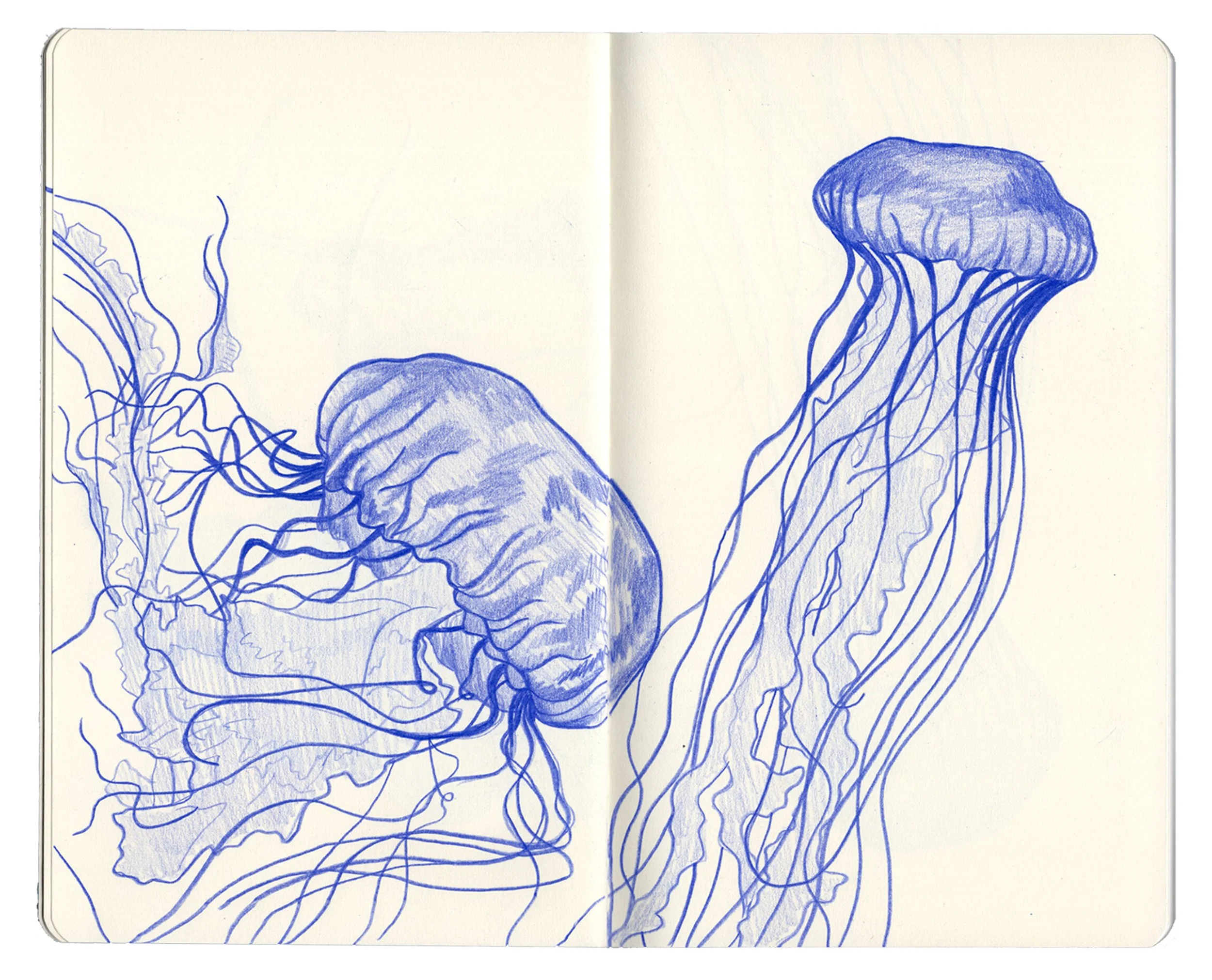 sketchbook for website copy1.jpg