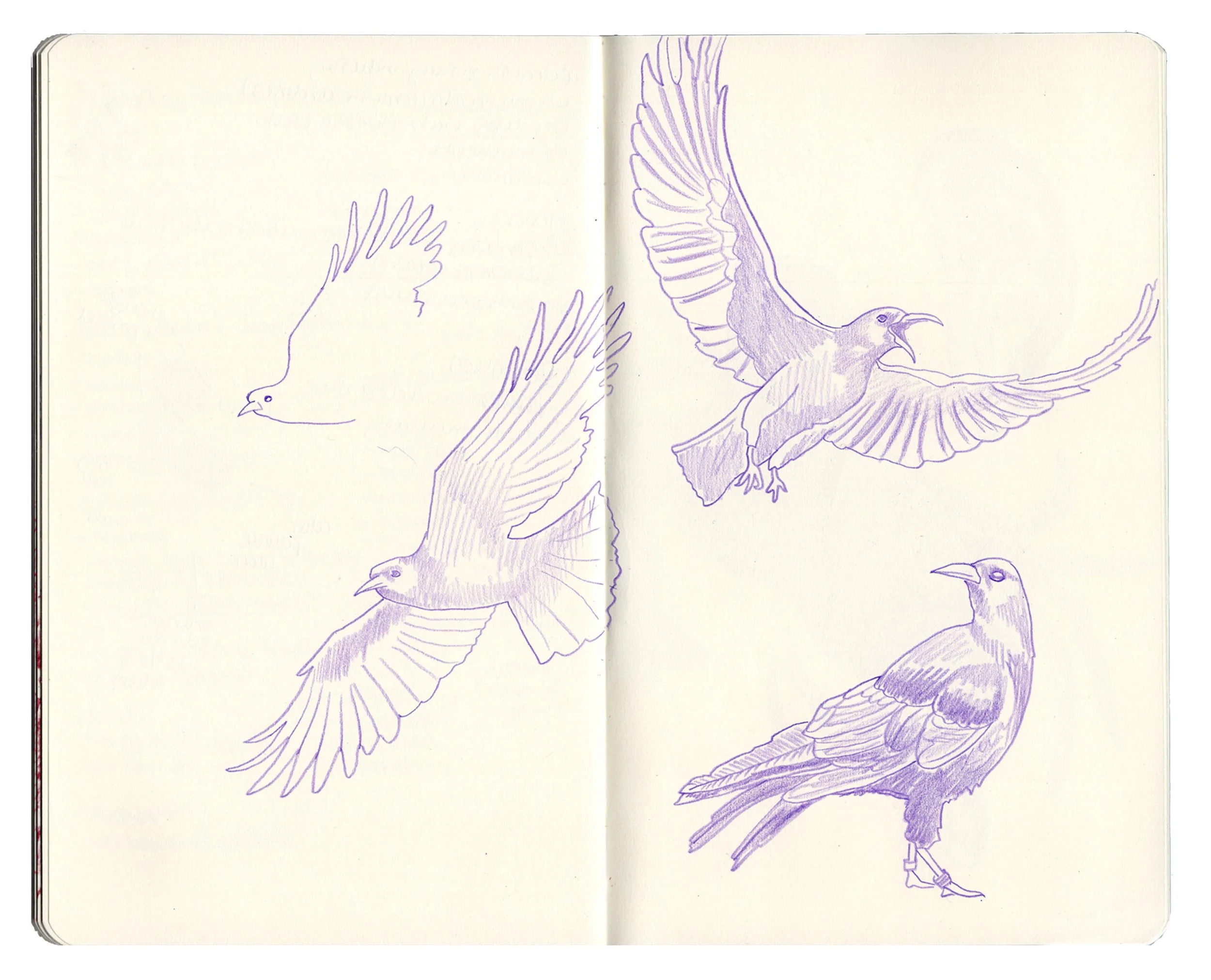 sketchbook for website copy8.jpg