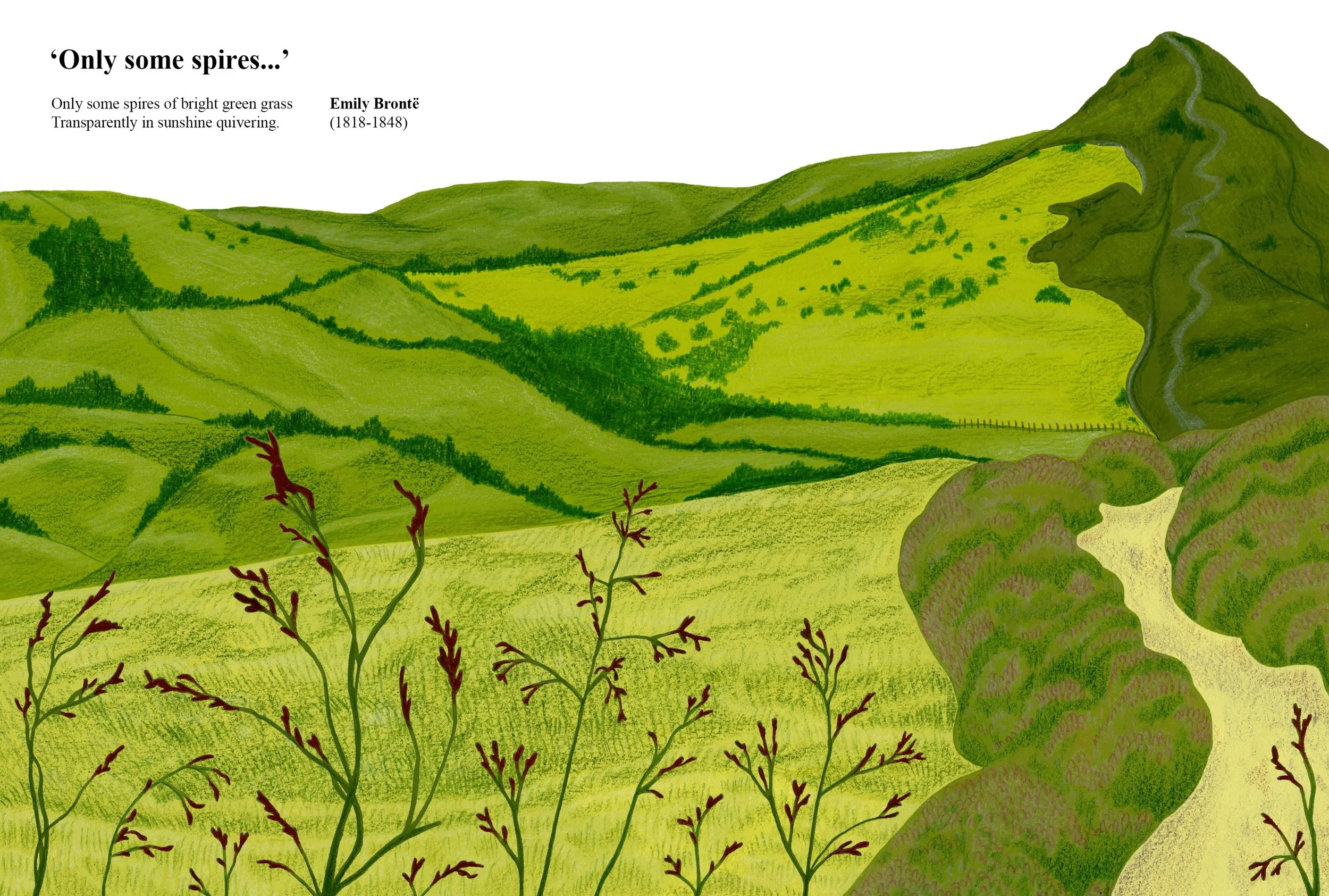 Nature Poetry Project
