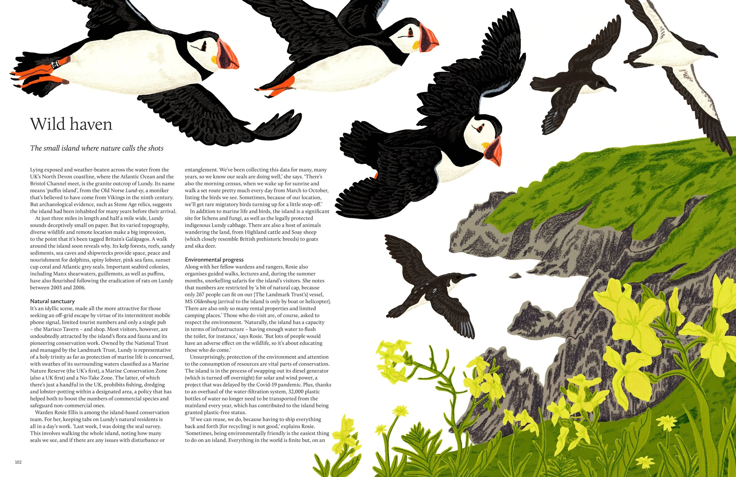 Lundy Island Editorial