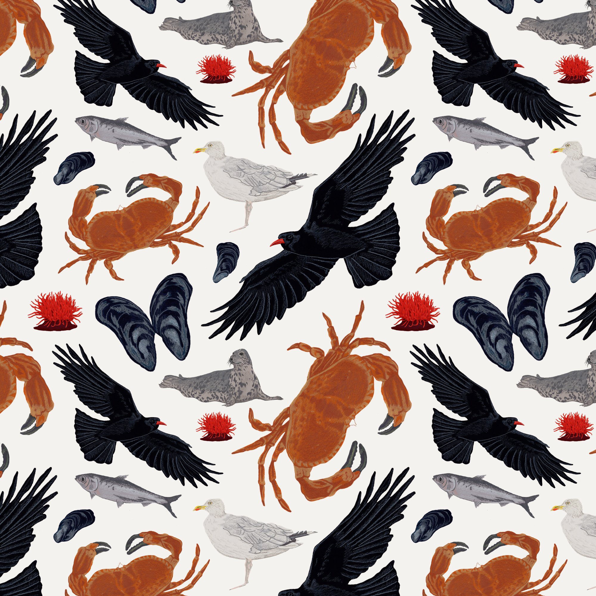 Cornish Coastal Pattern