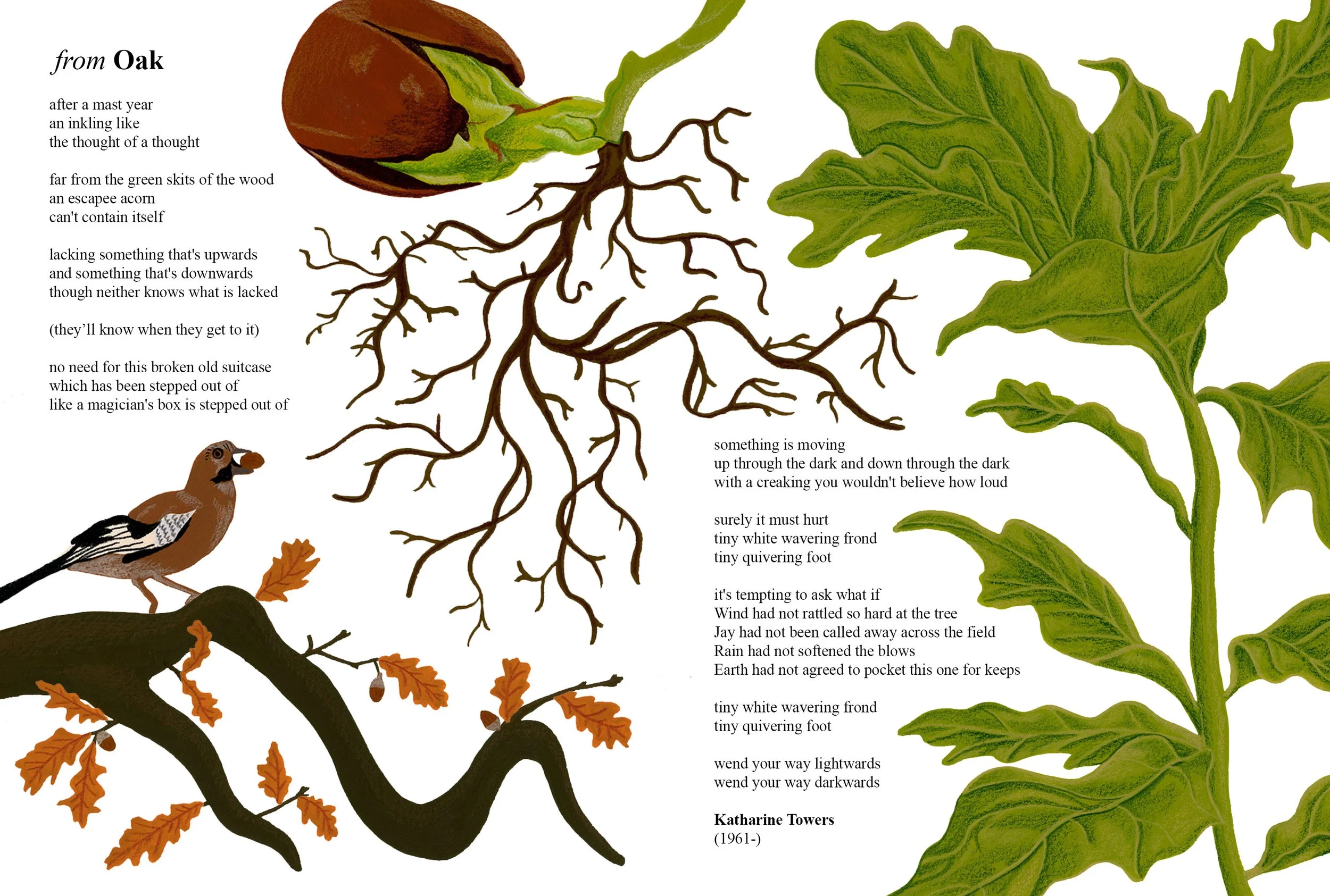 Nature Poetry Project