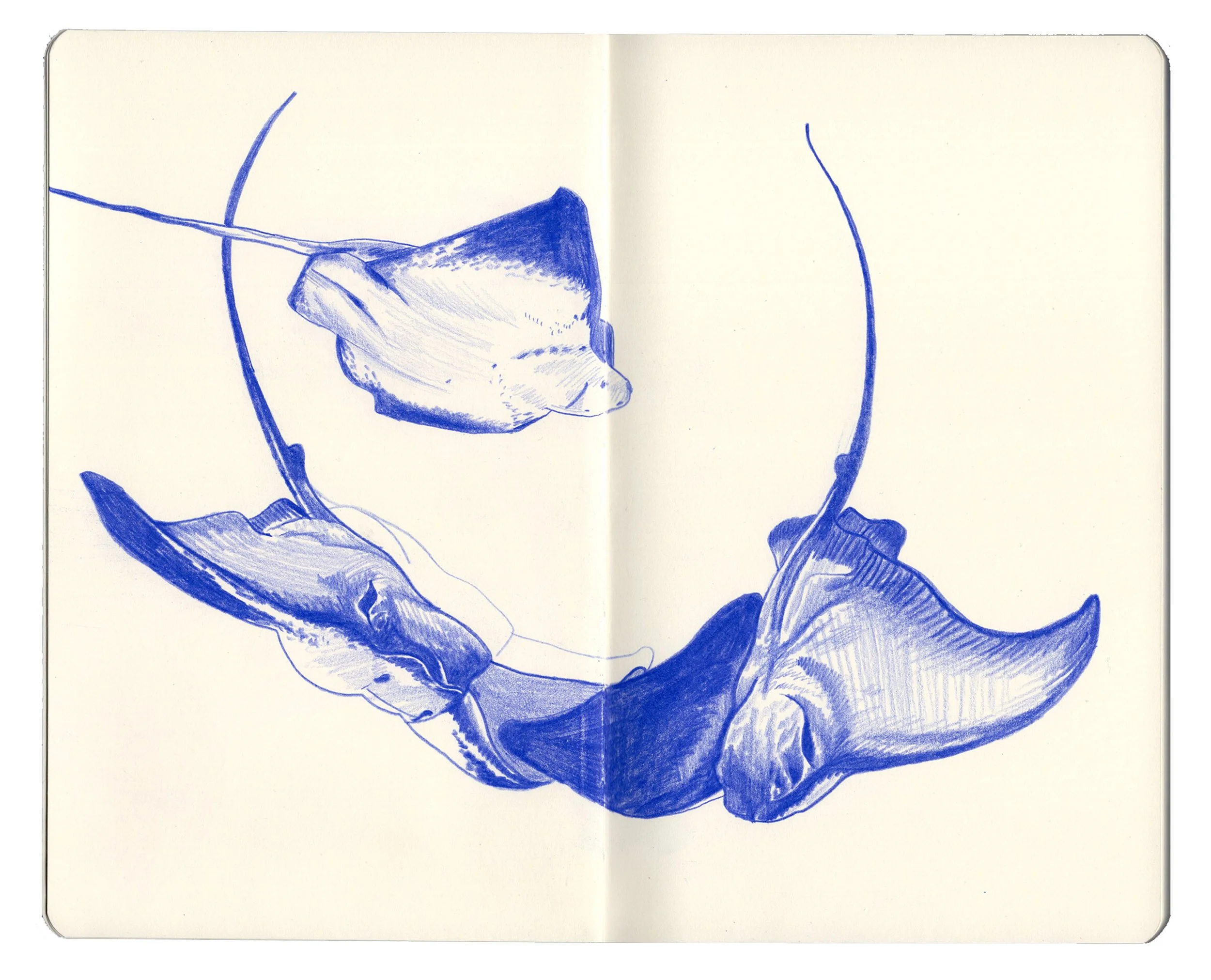 sketchbook for website copy4.jpg