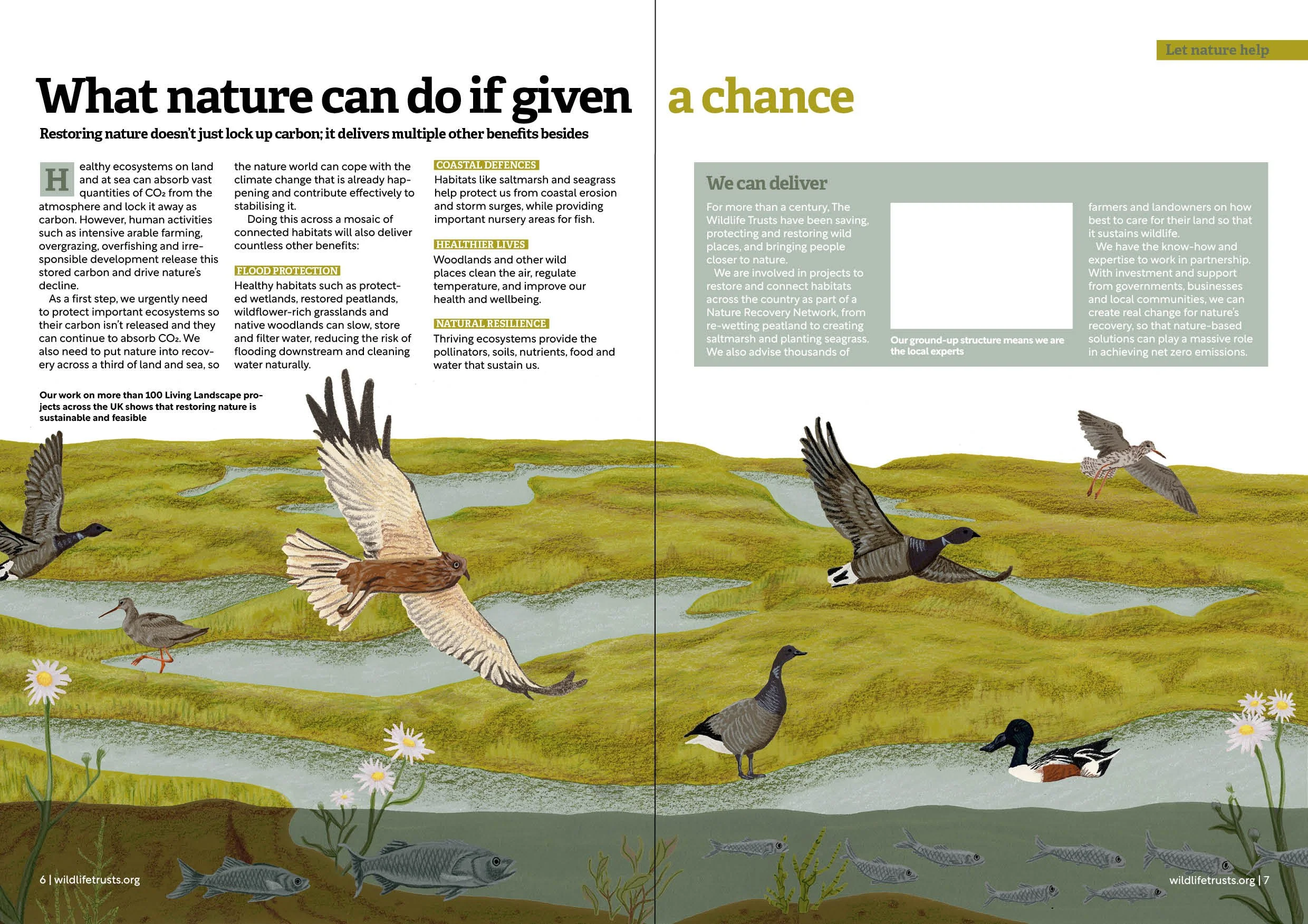 Let Nature Help Report Final Artwork.jpg