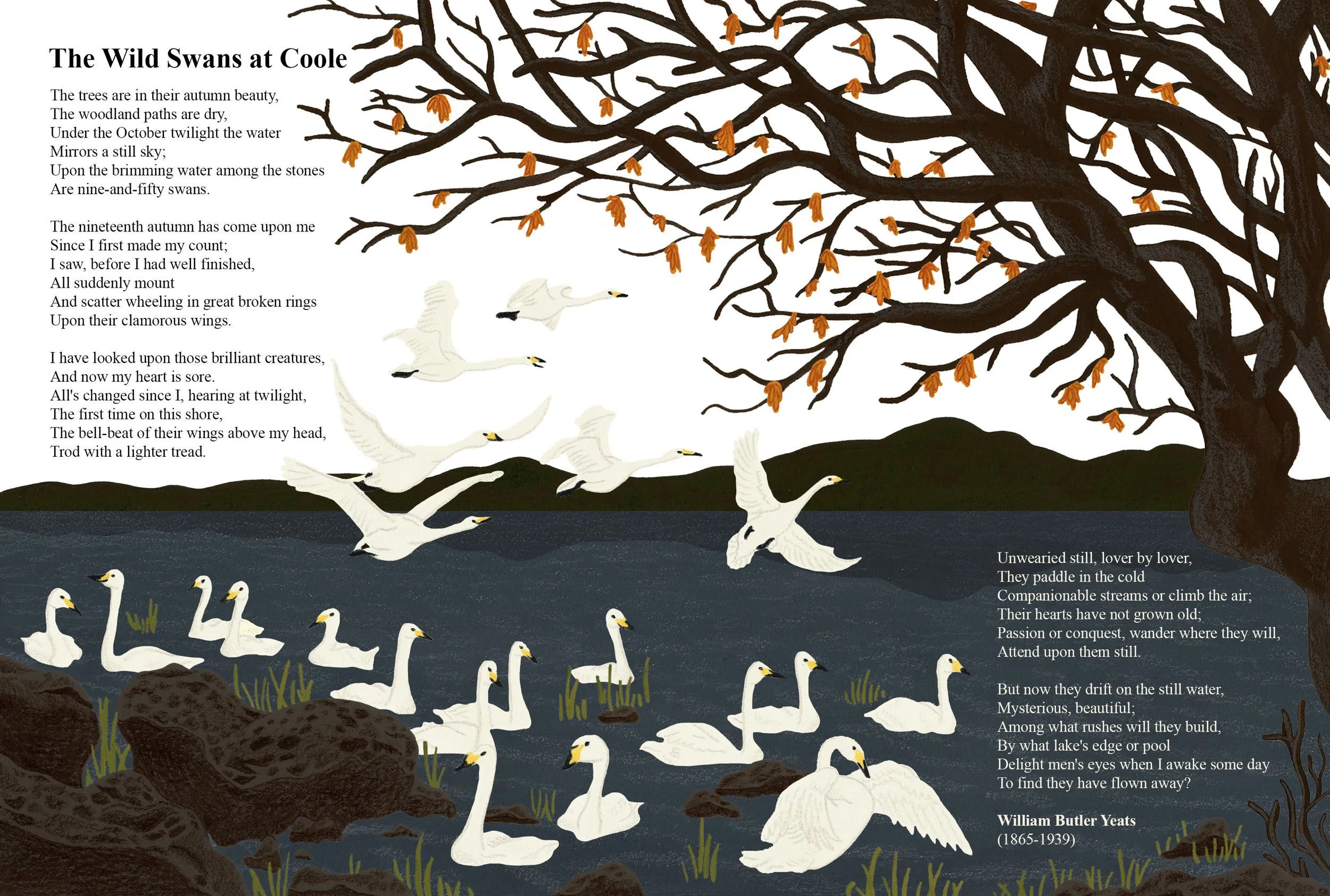 Nature Poetry Project