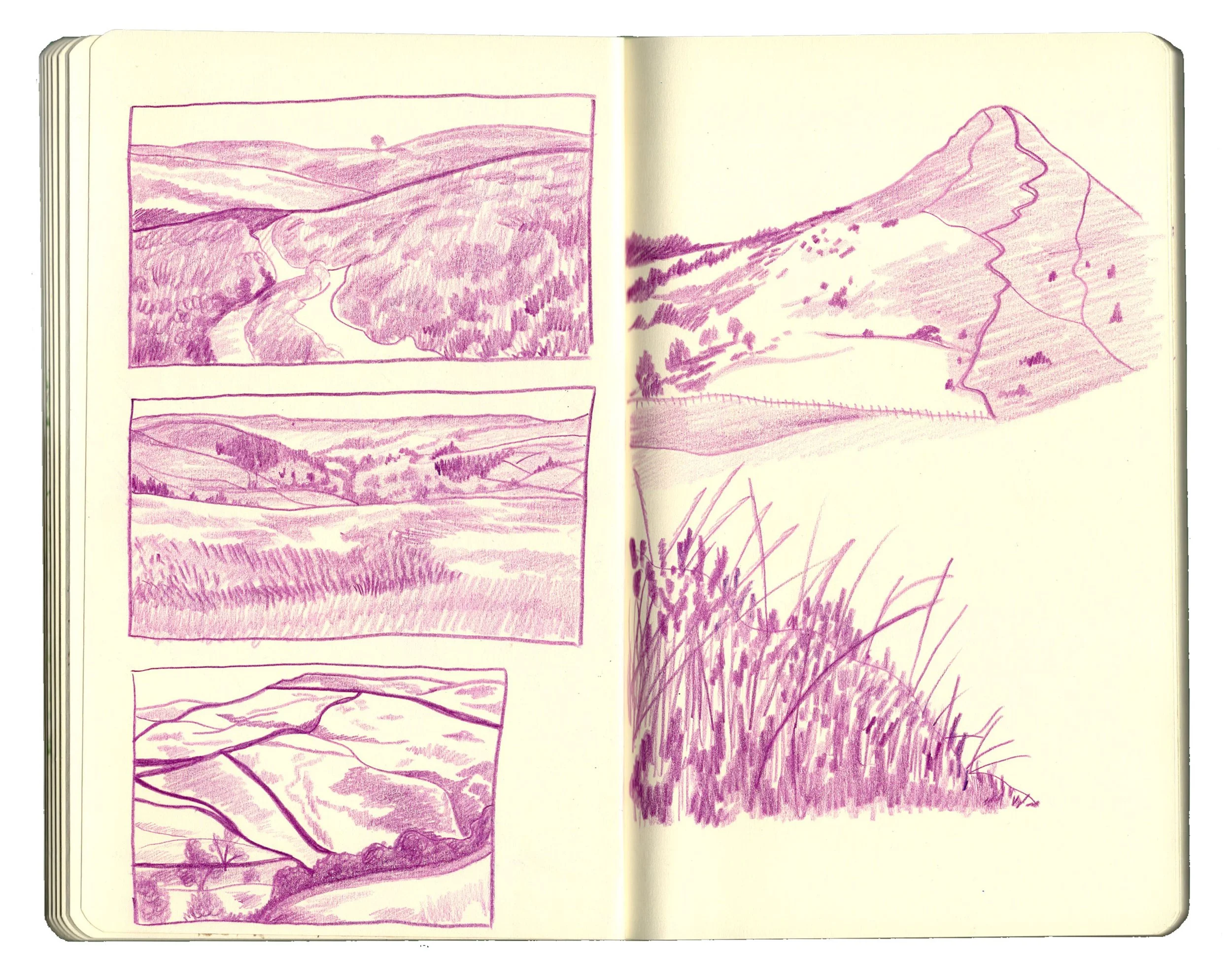 sketchbook pages for website copy1.jpg