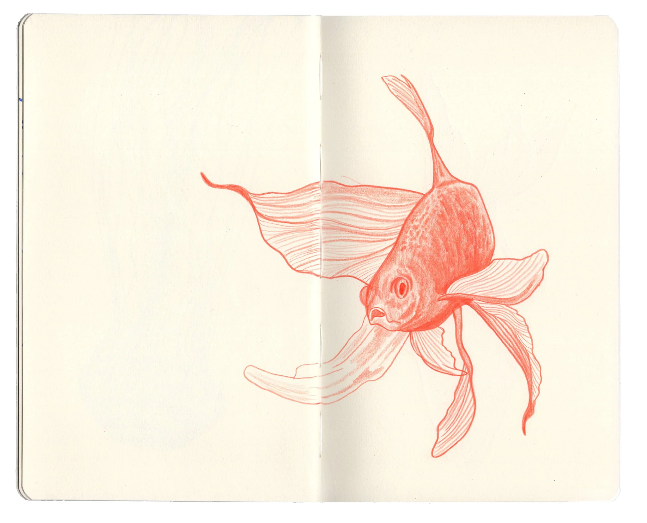 sketchbook for website copy3.jpg