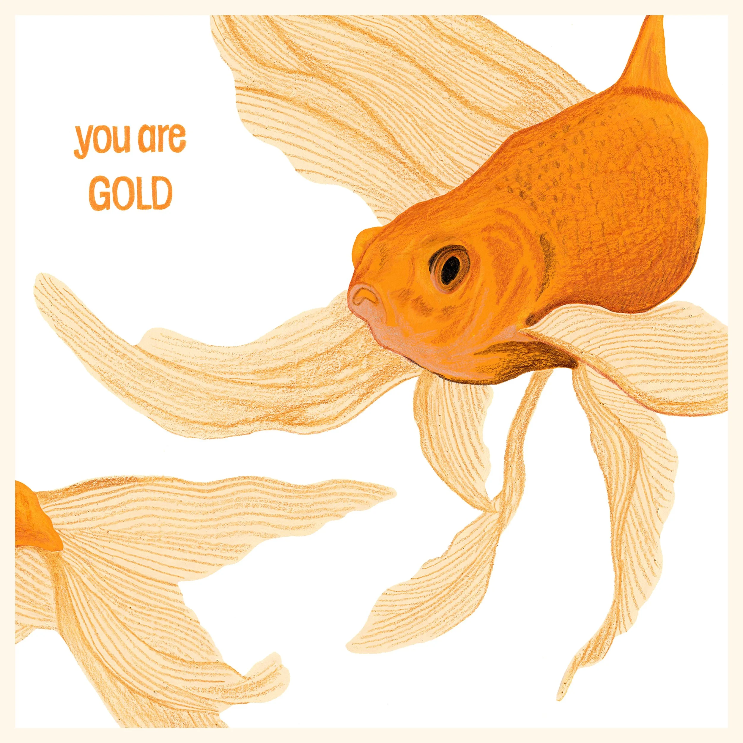 Marine Greeting Cards