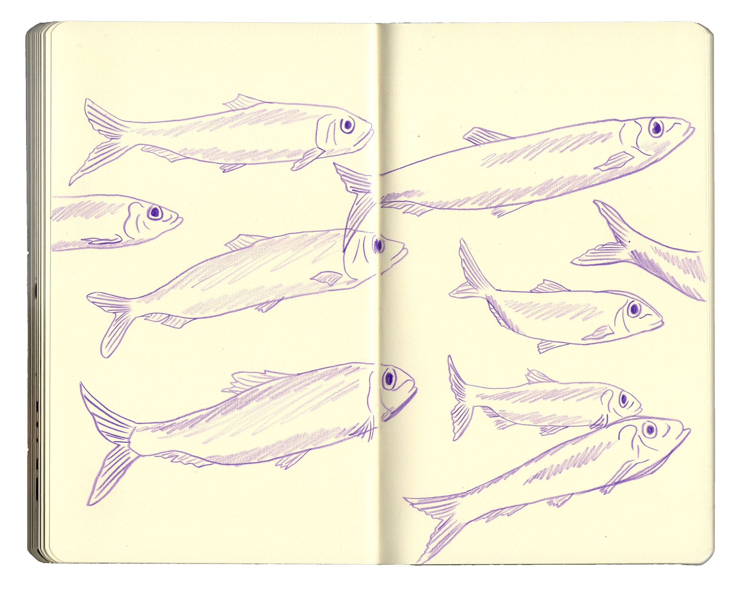 sketchbook pages for website2.1 copy.jpg