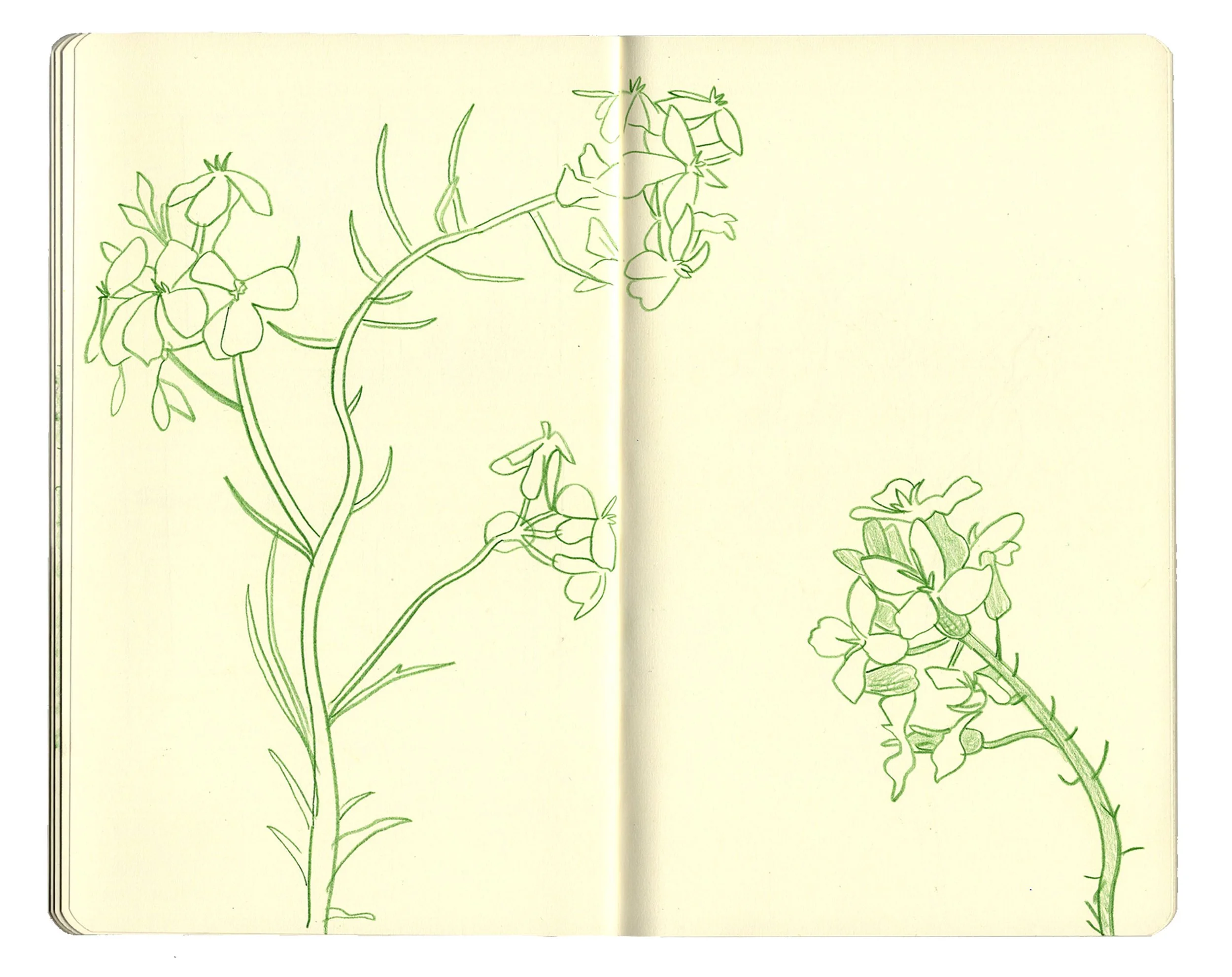 sketchbook pages for website copy7.jpg