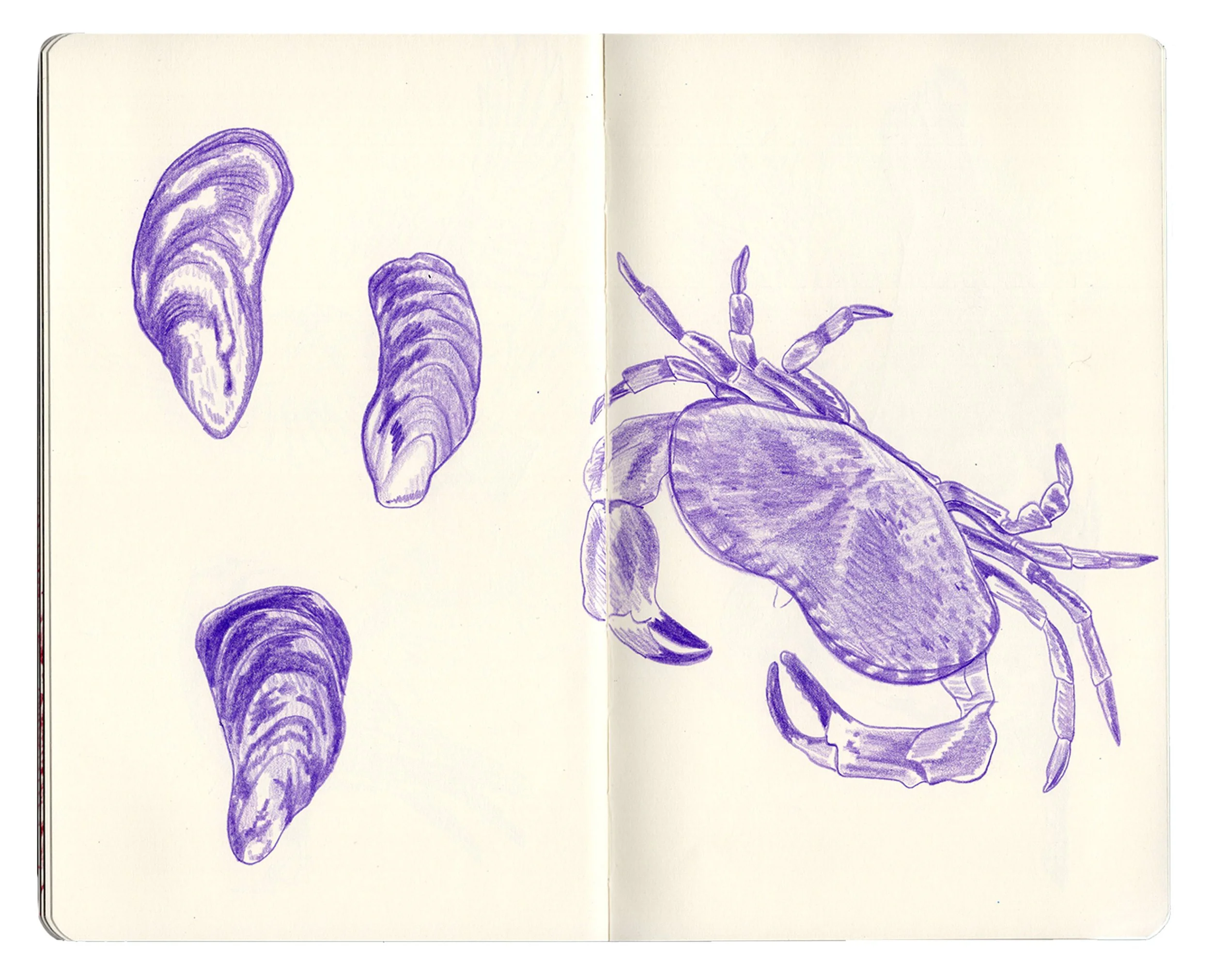 sketchbook for website copy9.jpg