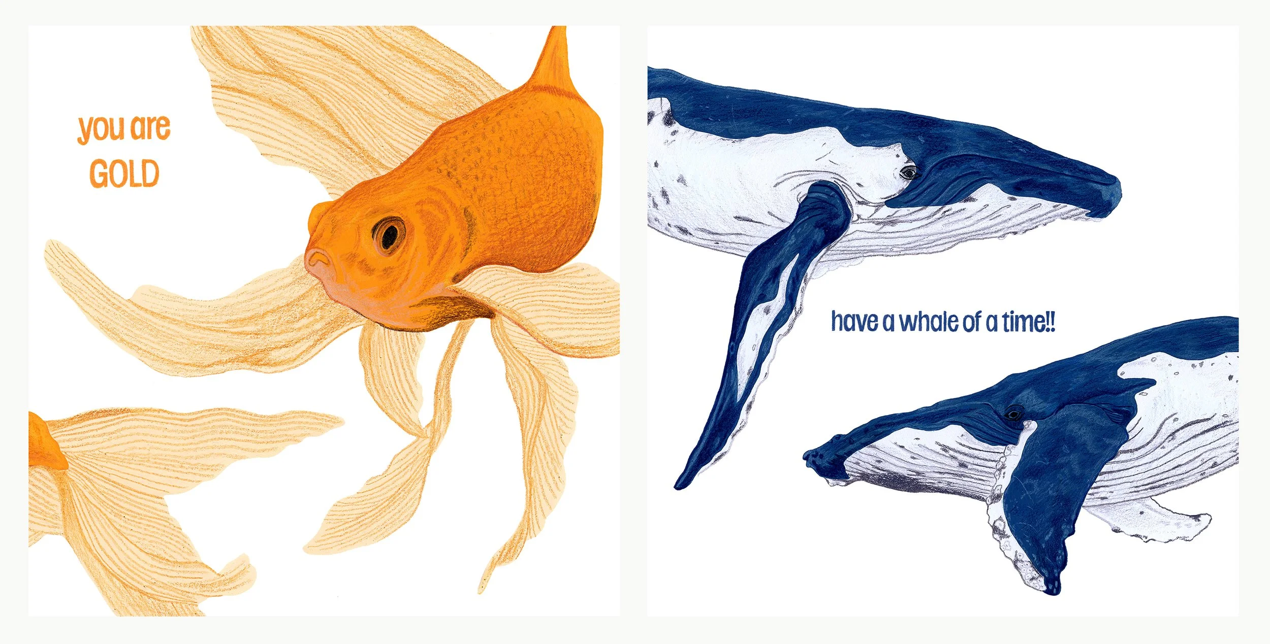 Marine Greeting Card Designs