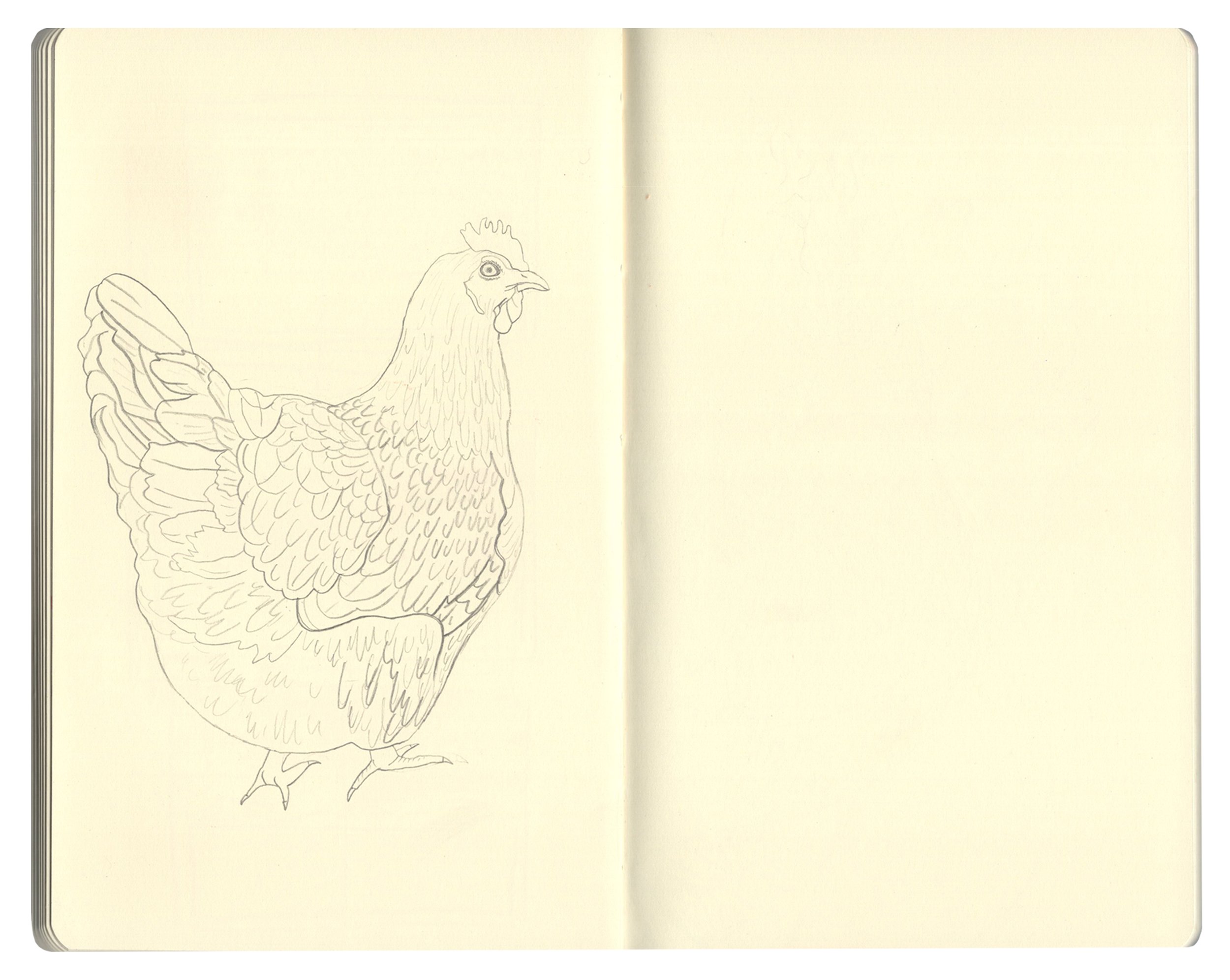 website images copy2.jpg