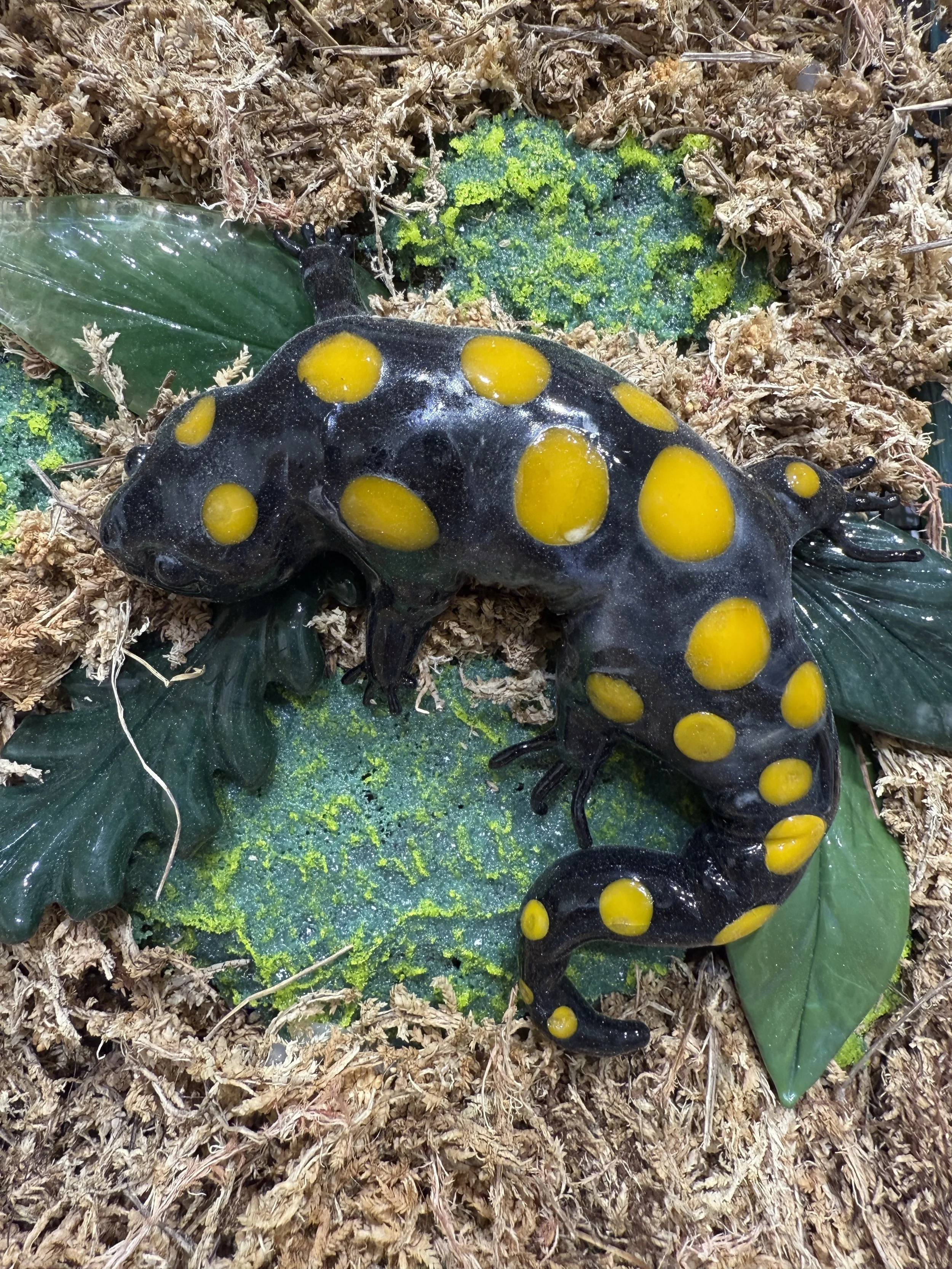 Deserted Landscape, borosilicate glass, found objects, wood, paint, metal, 30" x 30" x 4", 2025