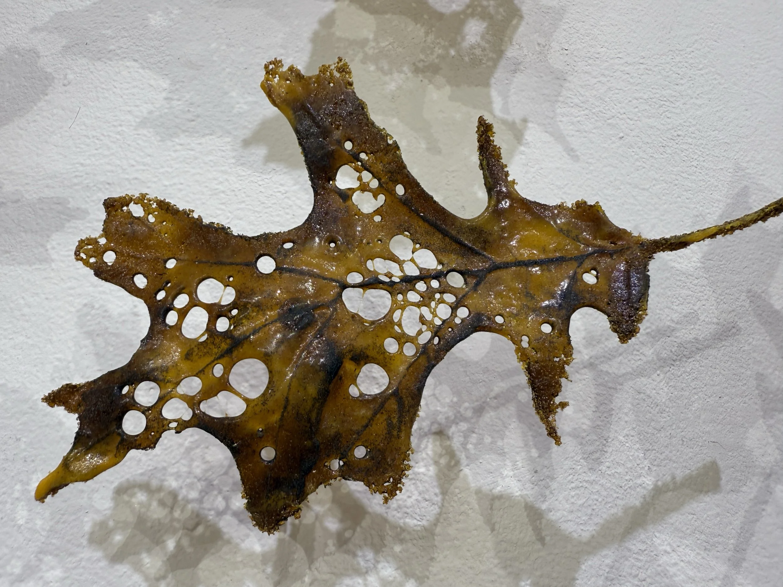 Disappearance, páte de verre glass, metal, 21' x 62" x 6", 2025