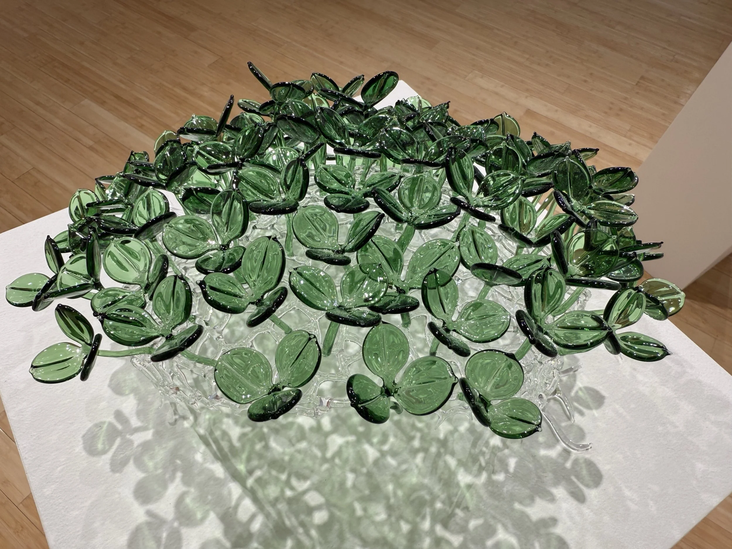 "I am not Invasive", Borosilicate glass, 14" x 14" x 8.5", 2025