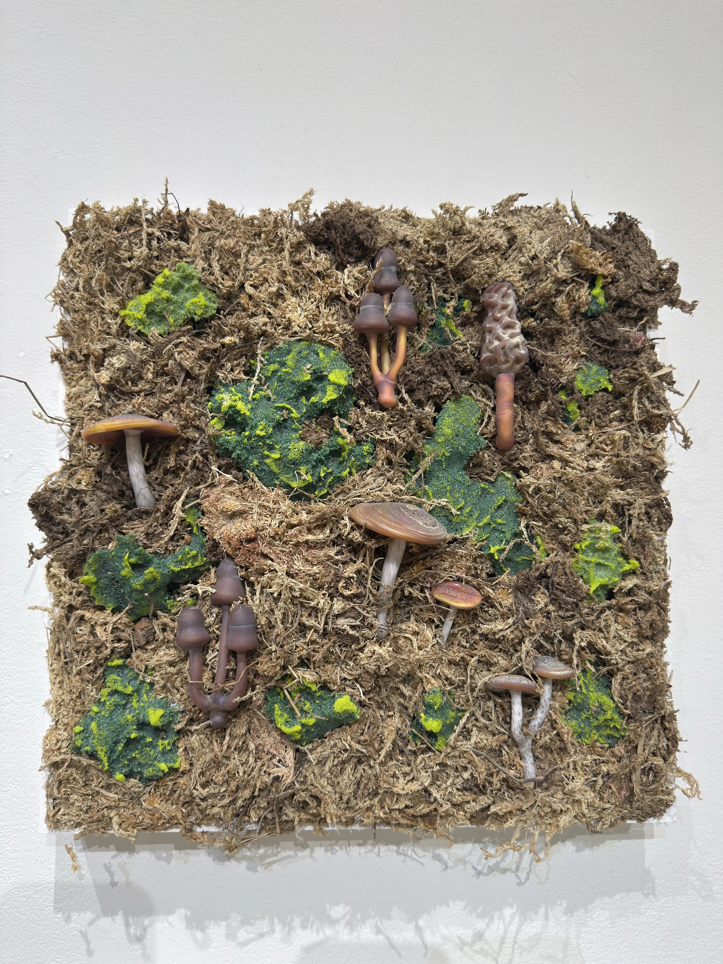 Deserted Landscape, borosilicate glass, found objects, wood, paint, metal, 30" x 30" x 4", 2025