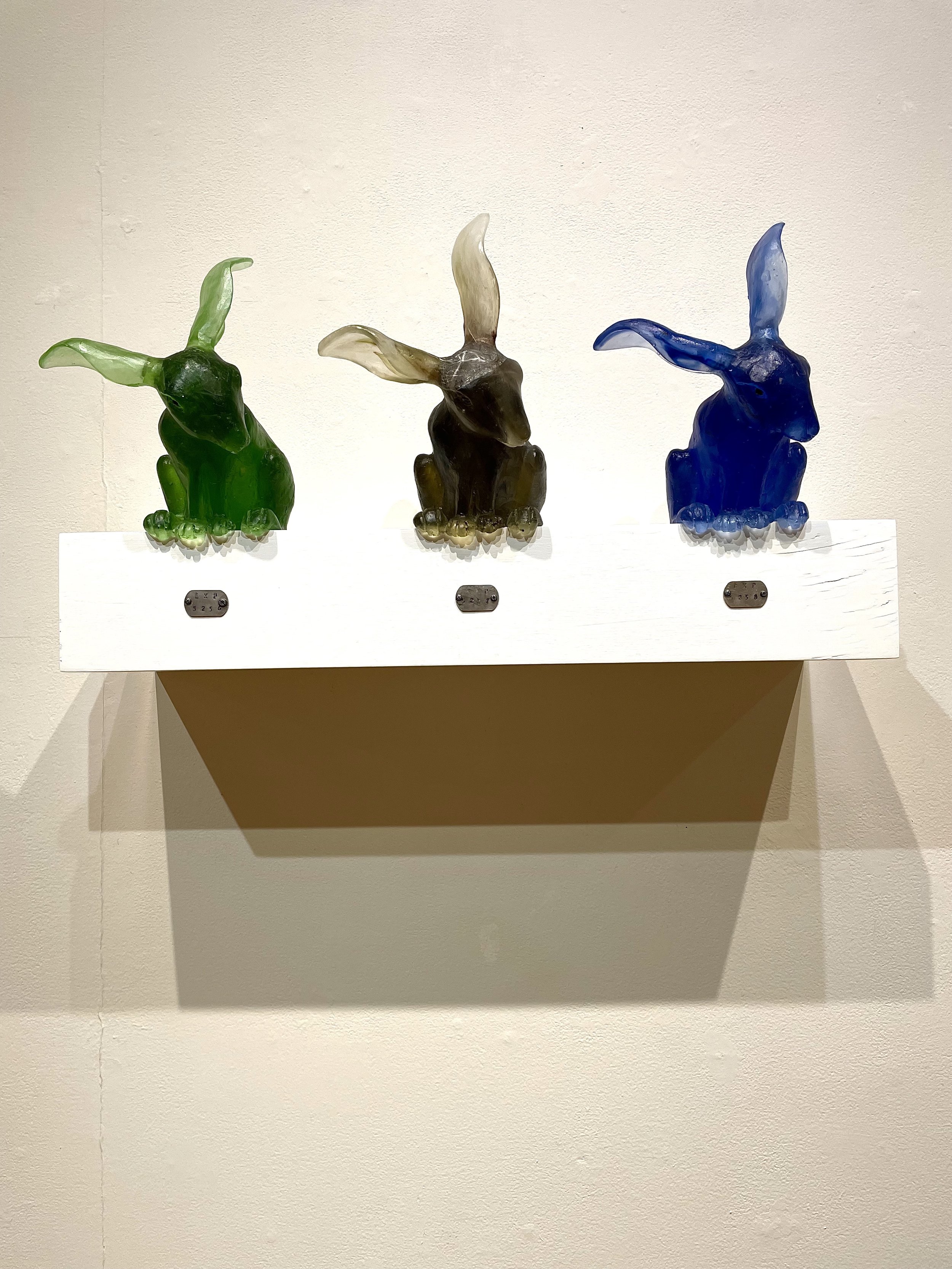 Experimental Rabbits, cast glass, wood, metal, 16" x 20" x 9", 2023