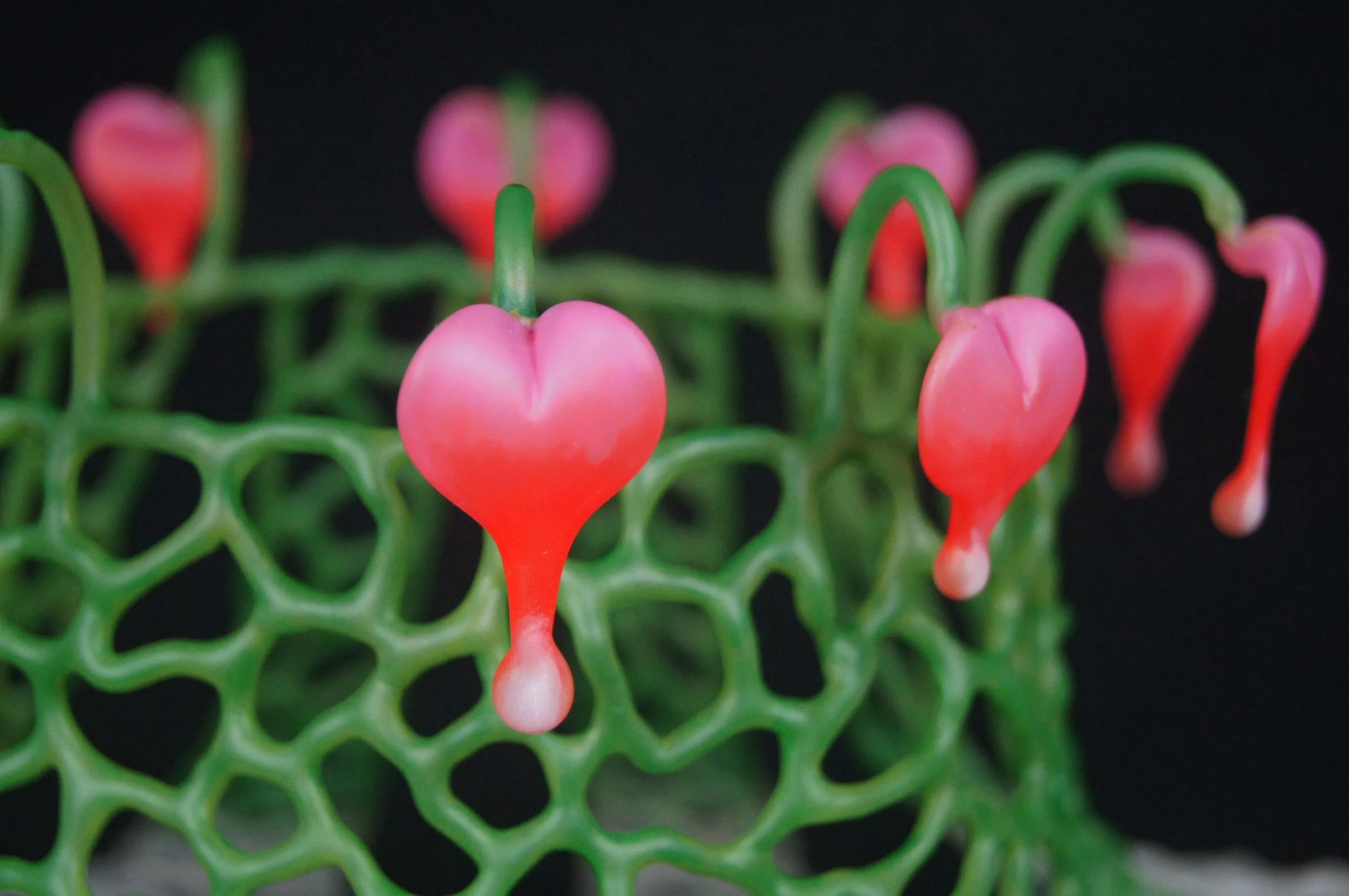 The Dissimulation of Ones Innermost Qualities, borosilicate glass, 7.5" x 12" x12", 2020