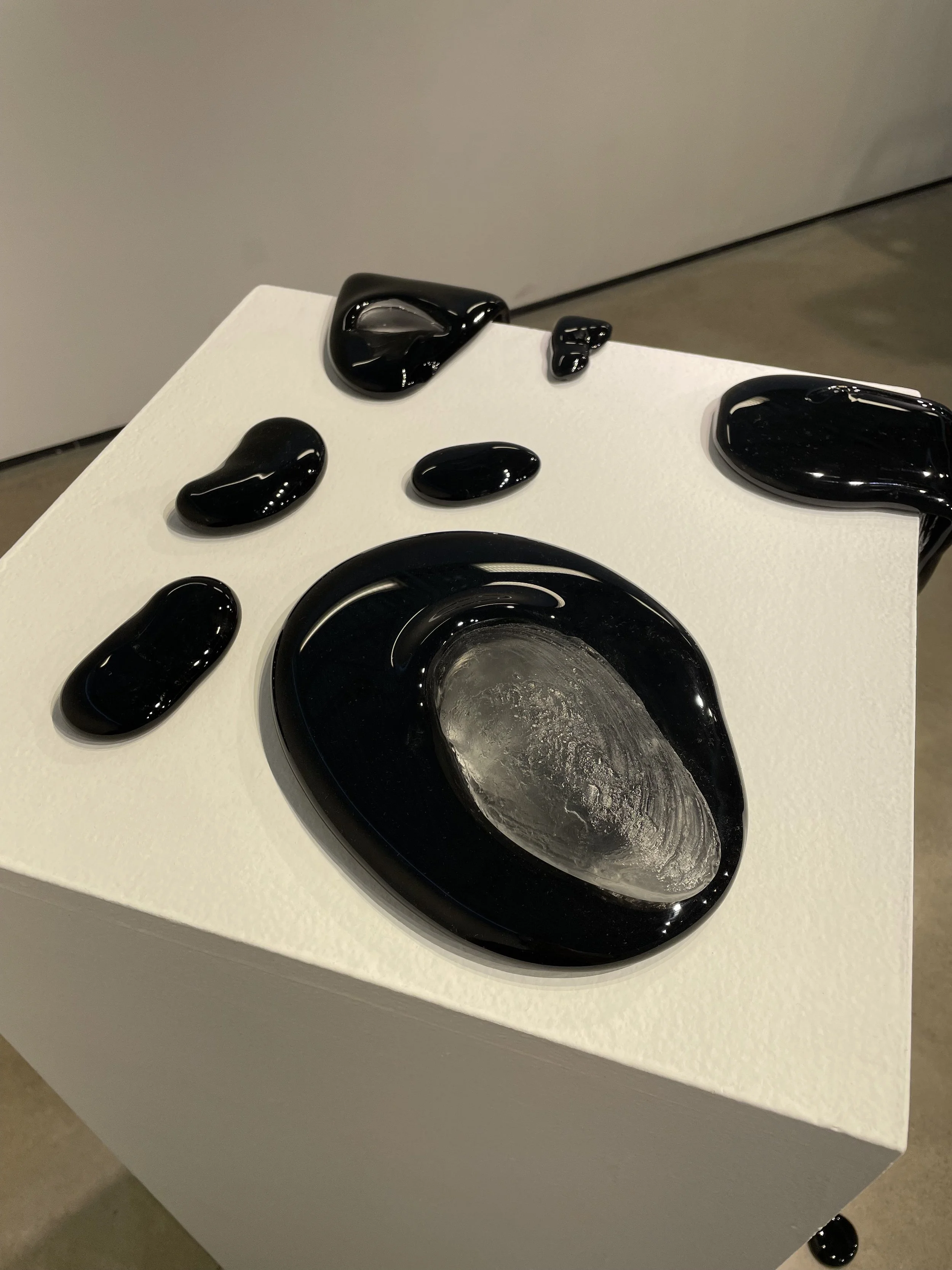 Molluscous Fauna of Indiana, cast glass, furnace glass, 42" x 18" x 18", 2024