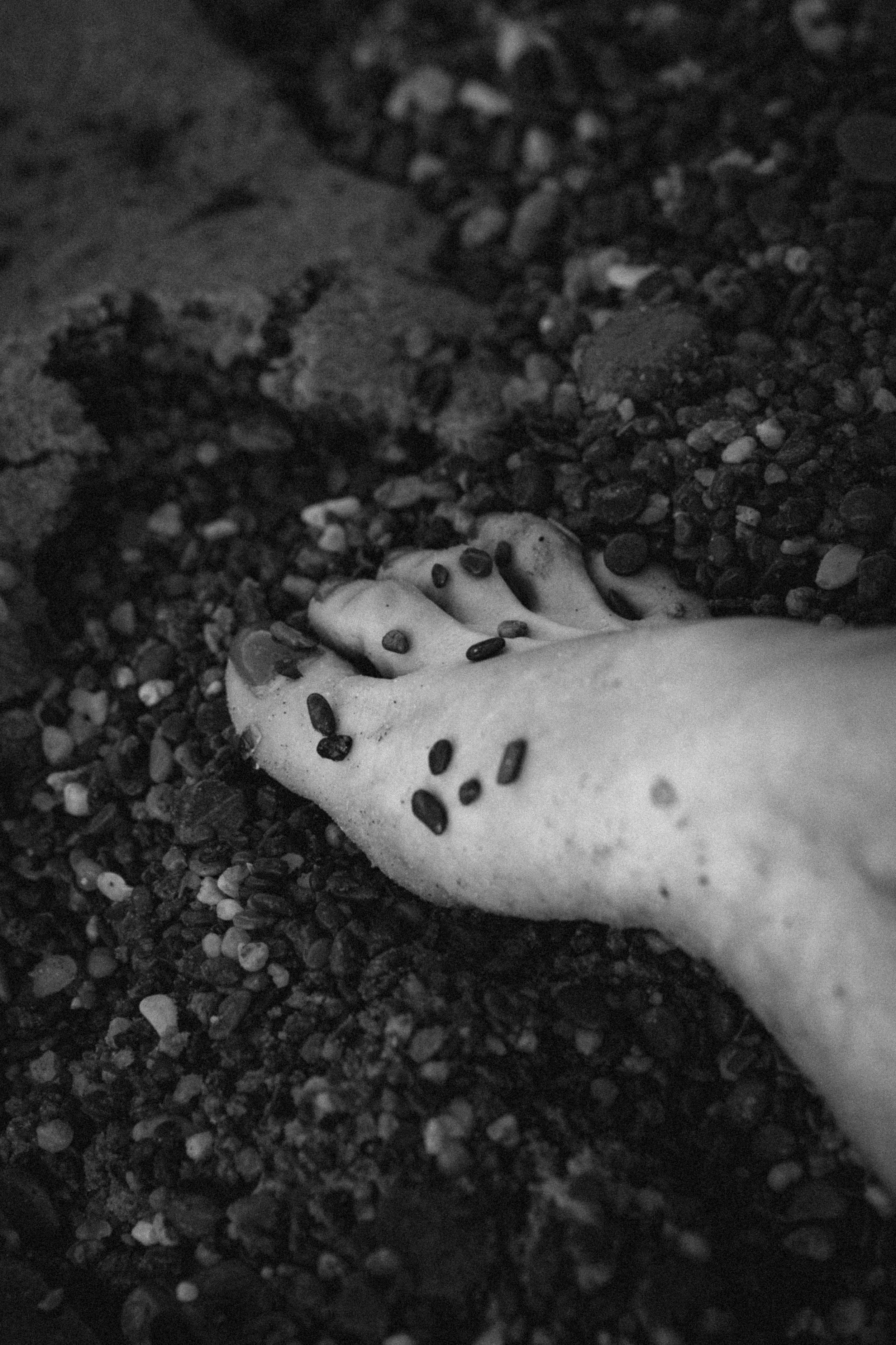 A close-up black and white photo of a human foot with small stones or pebbles on top of it, surrounded by more gravel and rocks.