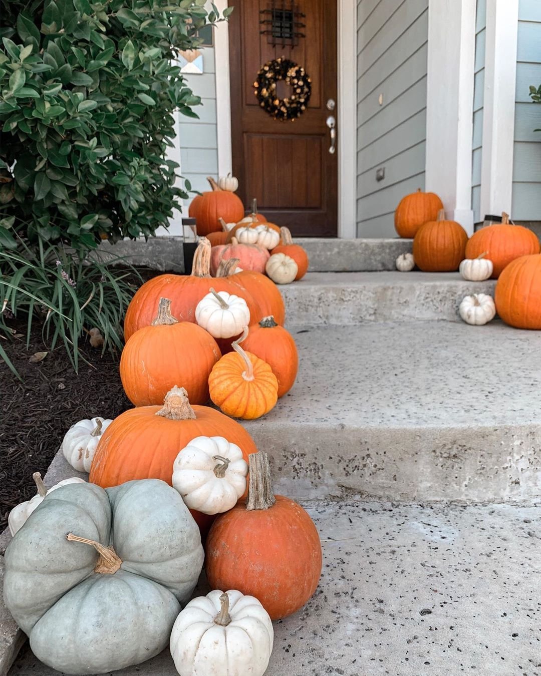 Front porch decorated with a variety of pumpkins and gourds in orange, white, and green, arranged along concrete steps leading to a wooden door with a wreath, surrounding a shrub and house siding.