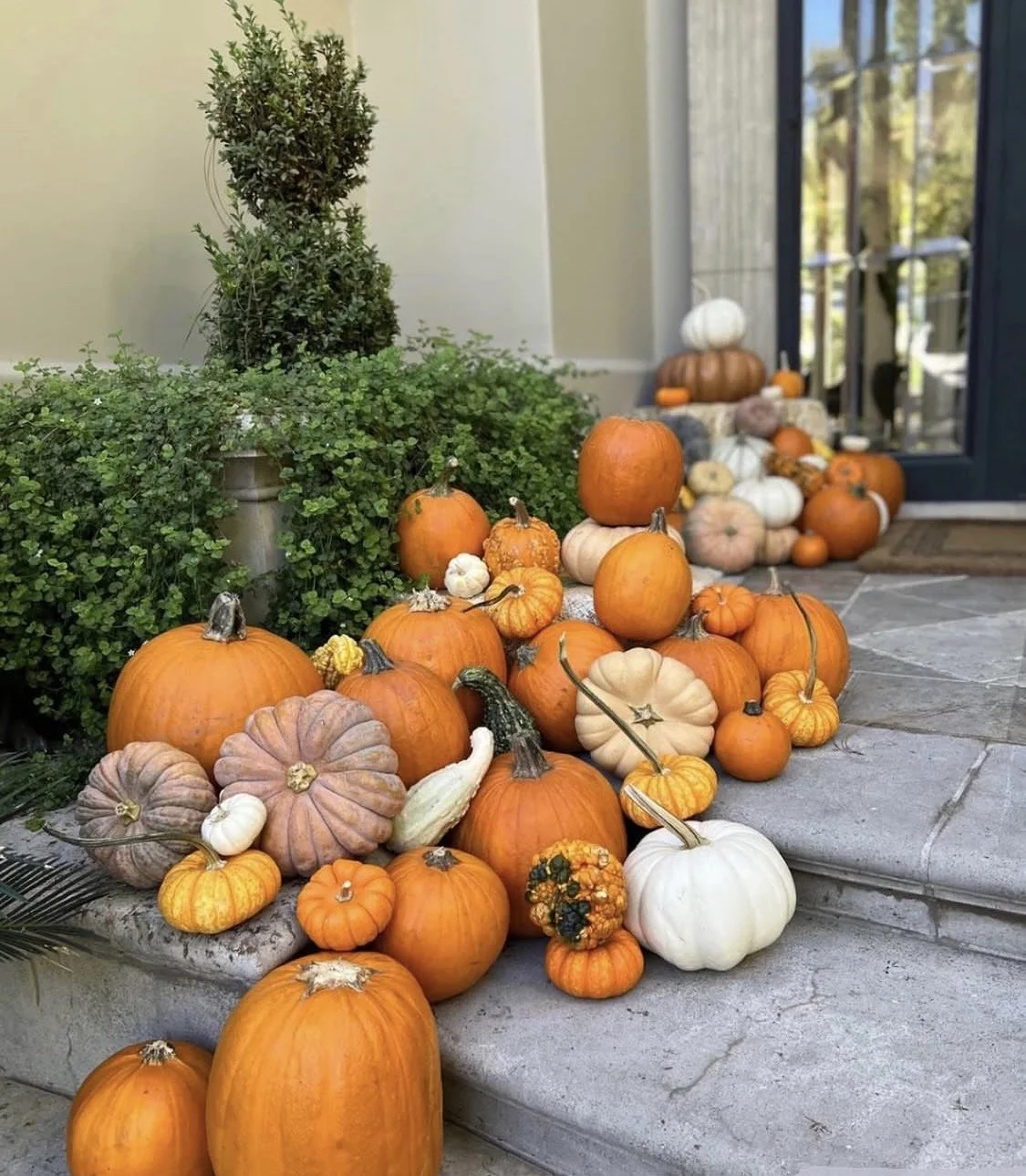 A variety of pumpkins and gourds are arranged outside near a door, with some greenery in the background, celebrating fall or Halloween.